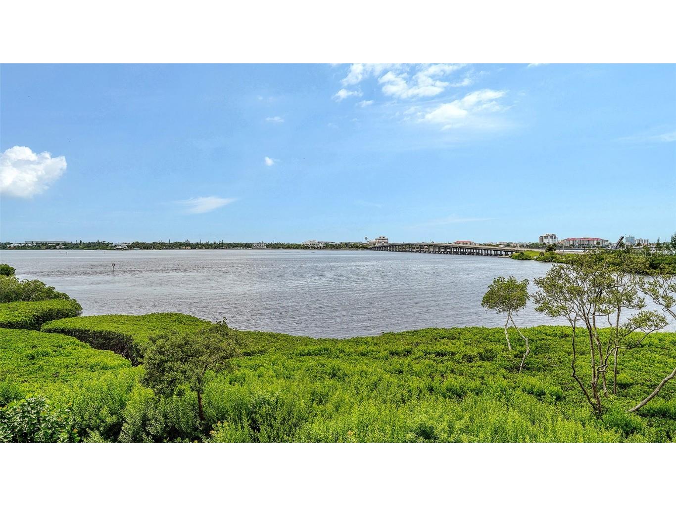 615 Riviera Dunes Way #208 Palmetto FL 34221 - MANATEE RIVER & RIVIERA DUNES A4664706 image45