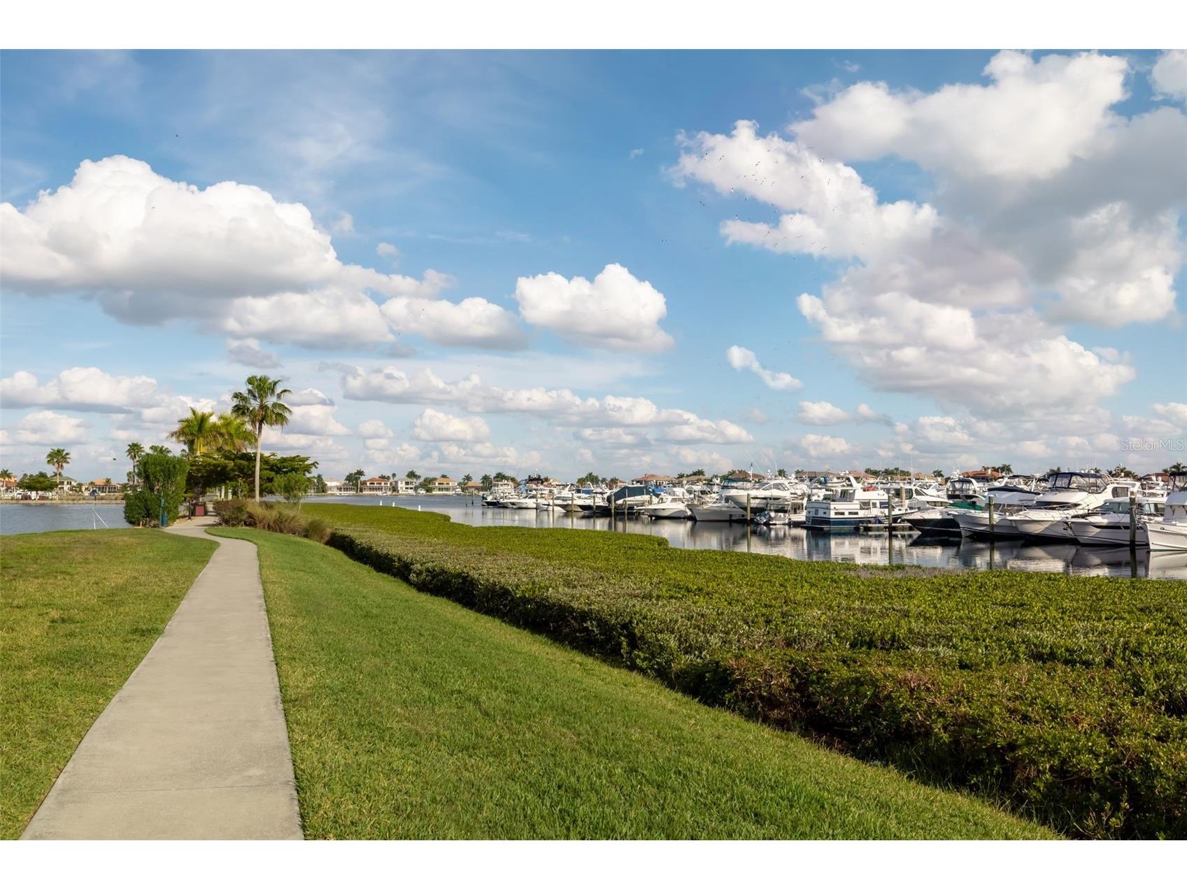 615 Riviera Dunes Way #402 Palmetto FL 34221 - MANATEE RIVER A4690297 image39