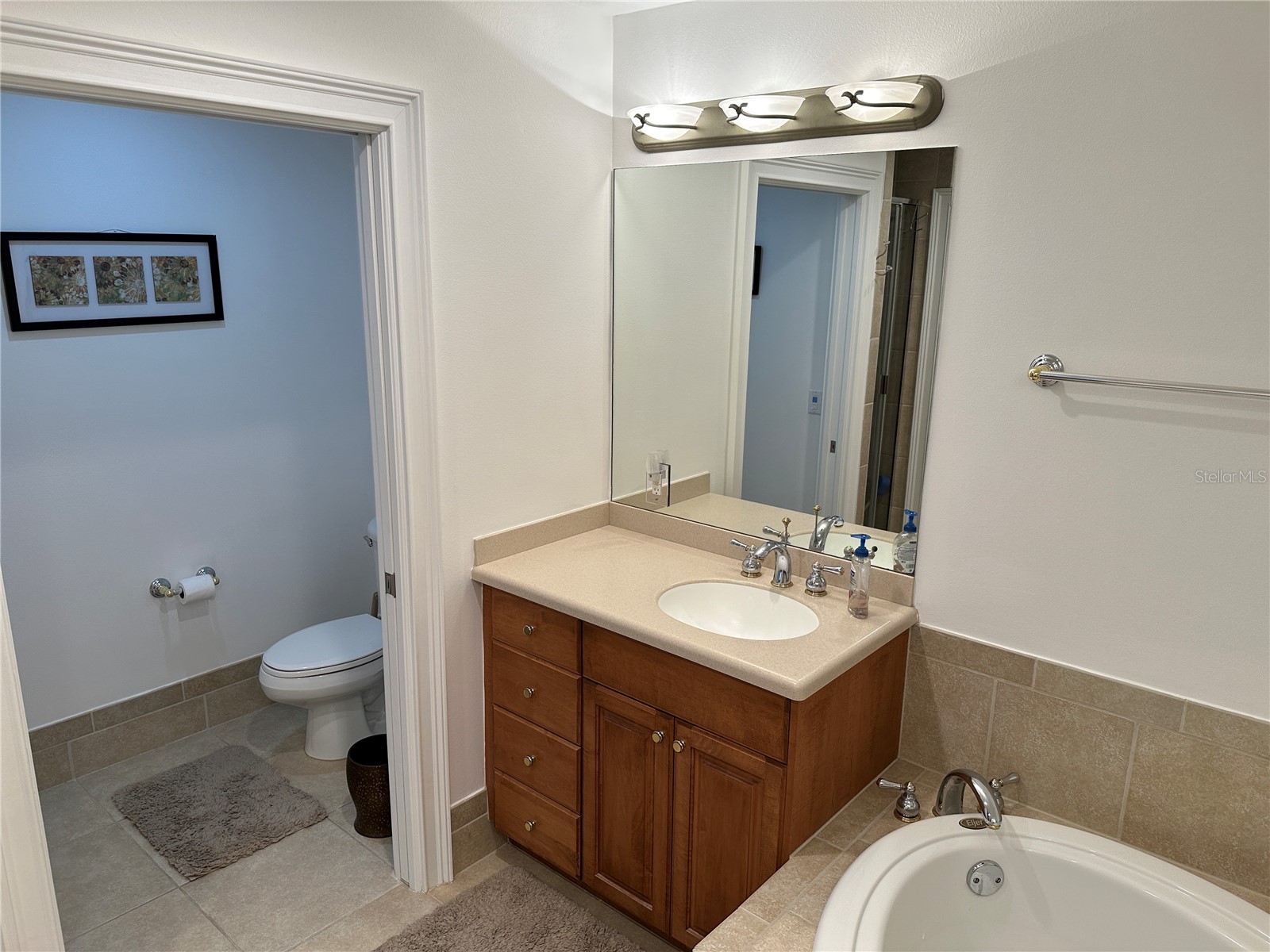 615 Riviera Dunes Way #406 Palmetto FL 34221 - MANATEE RIVER A4682609 image14
