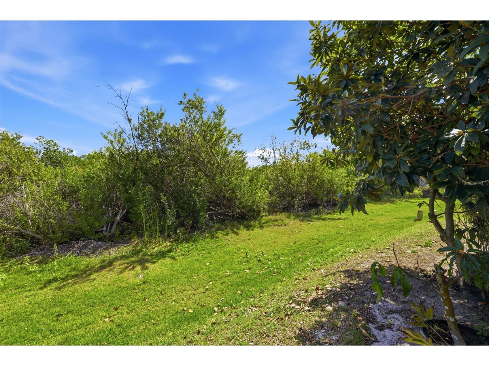 615 Saxony Boulevard Saint Petersburg FL 33716 TB8503002 image50