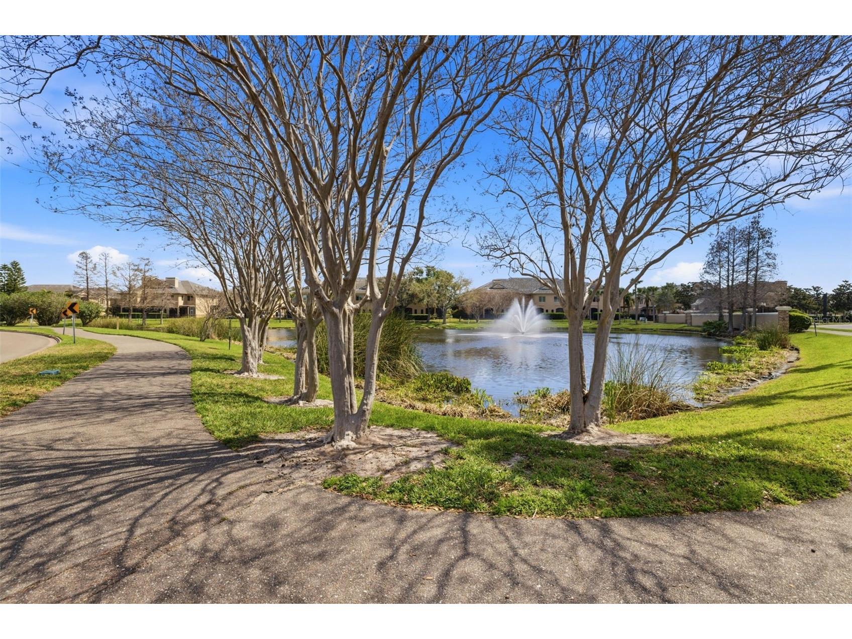 615 Saxony Boulevard Saint Petersburg FL 33716 TB8503002 image67