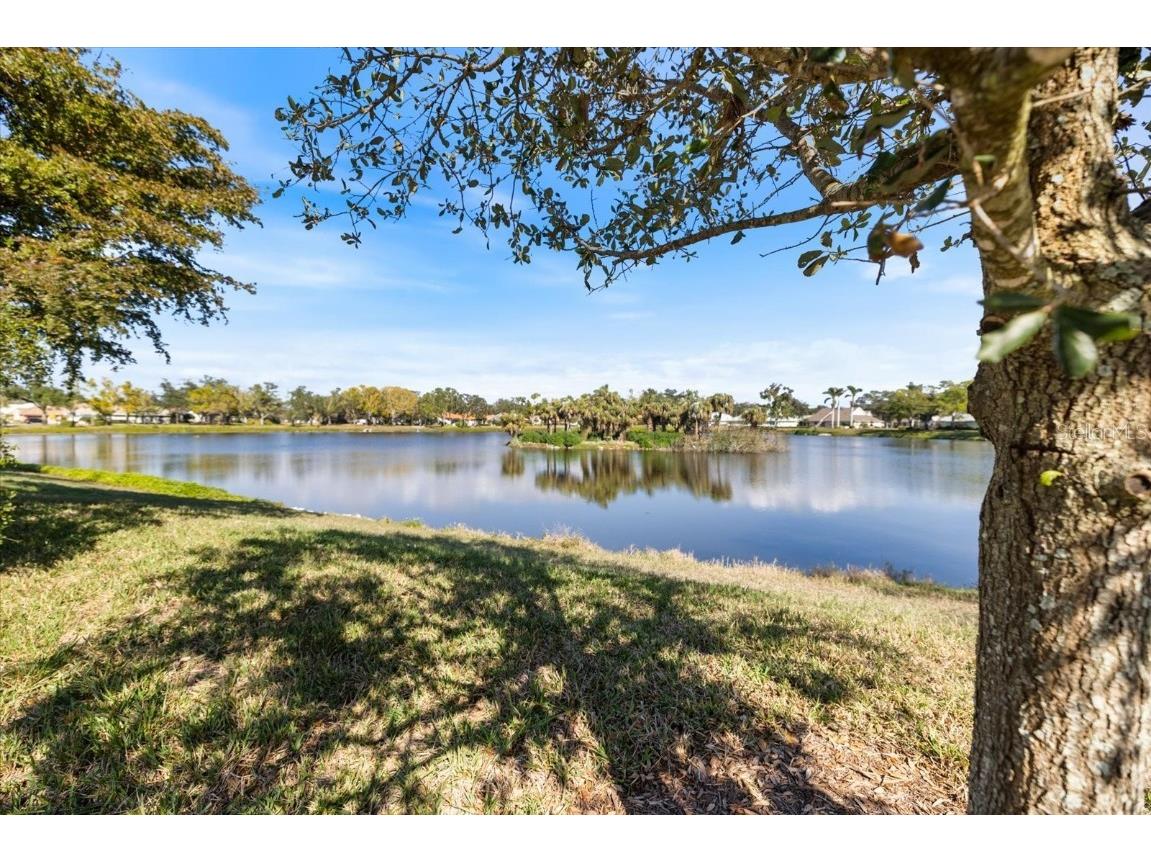 615 Sugarwood Drive Venice FL 34292 N6141438 image46