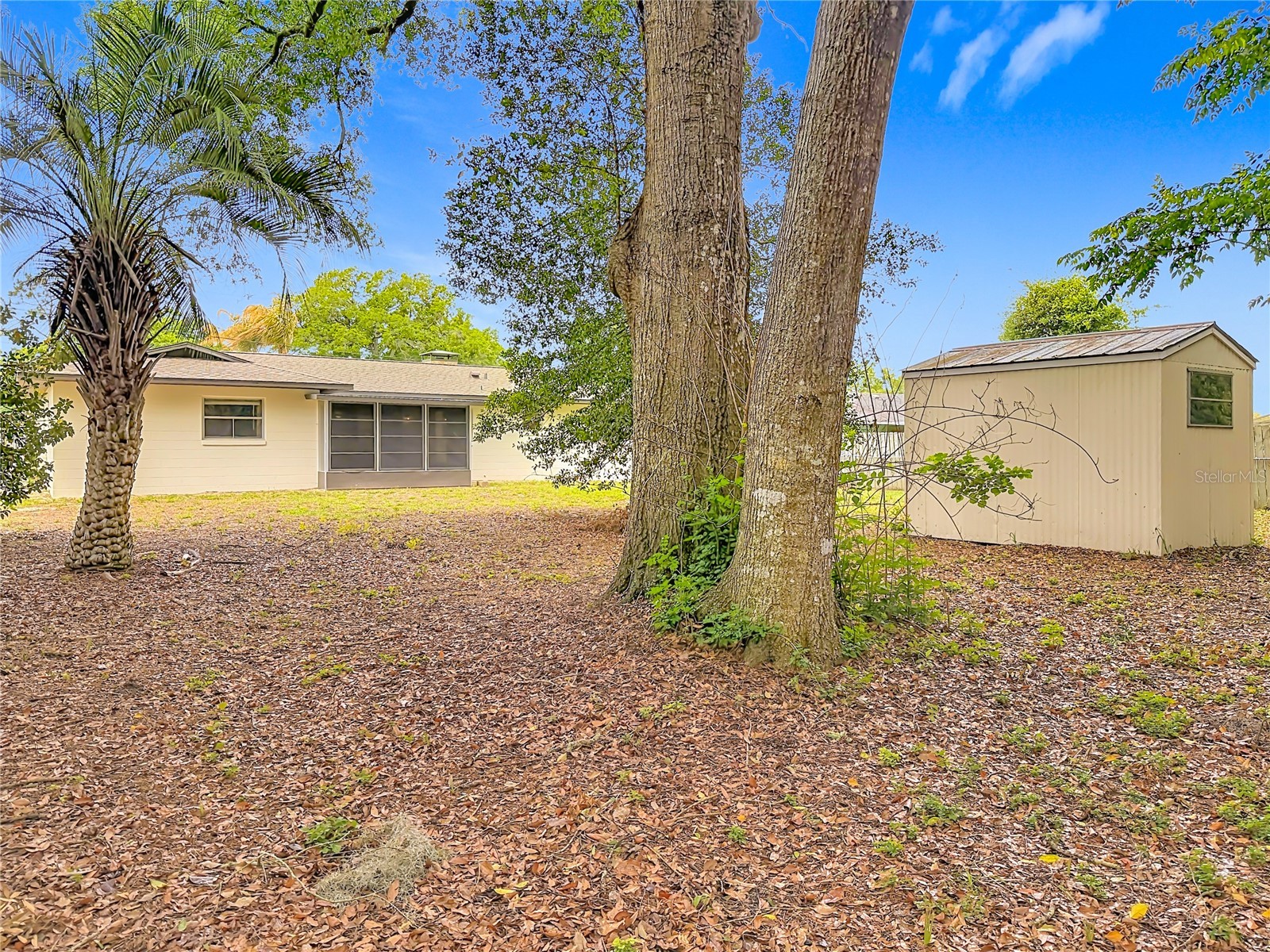 615 Third Avenue Lady Lake FL 32159 O6397572 image41