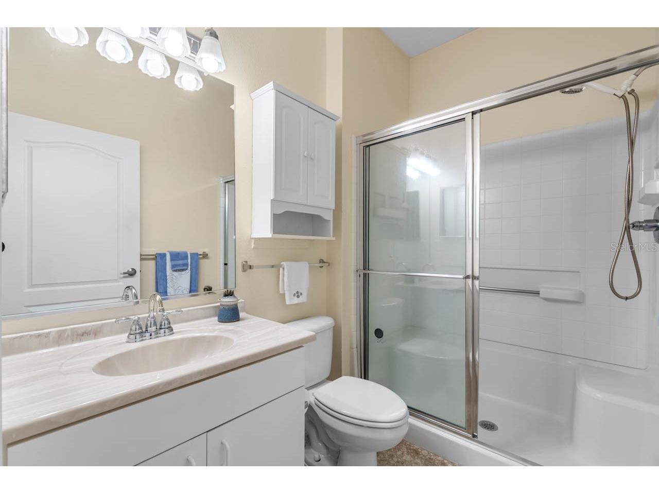 615 Tremont Greens Lane Sun City Center FL 33573 TB8458618 image23