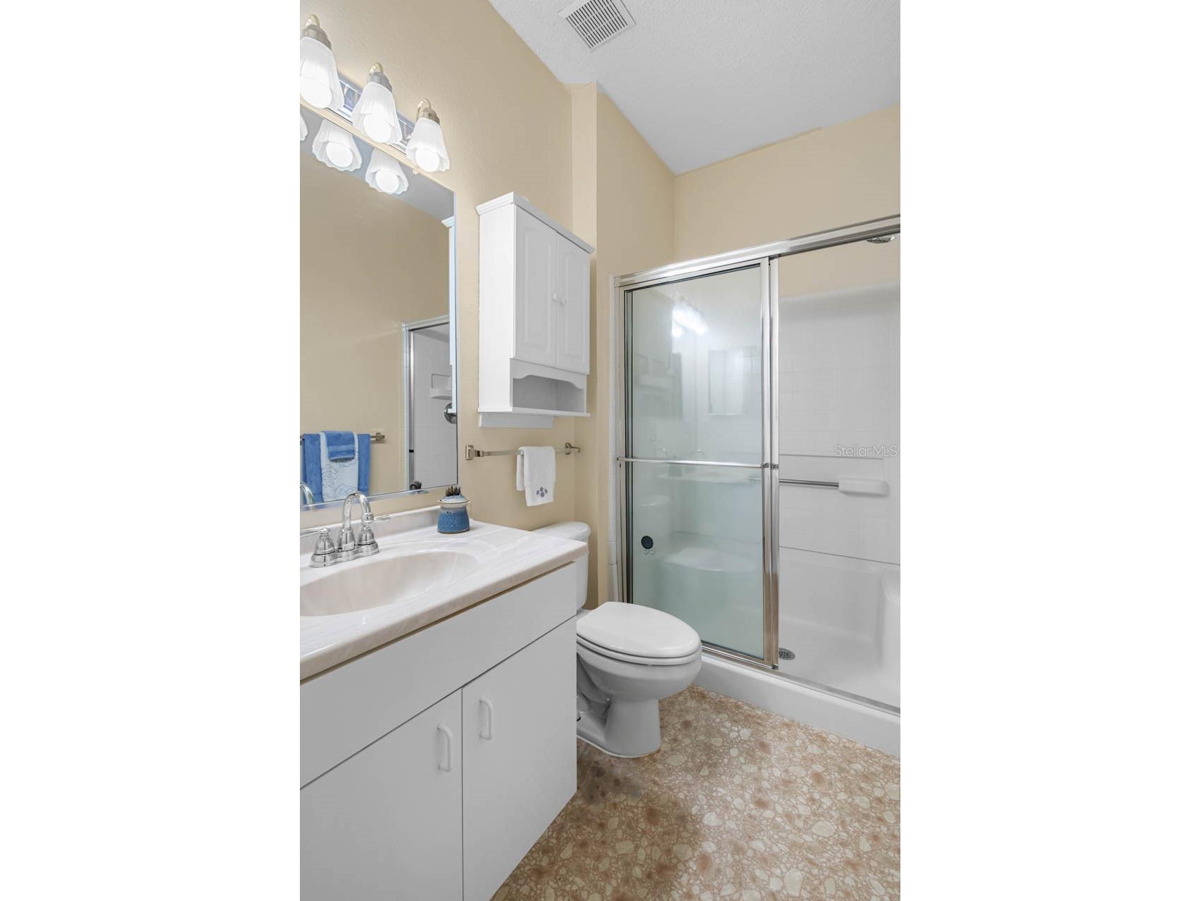 615 Tremont Greens Lane Sun City Center FL 33573 TB8458618 image24