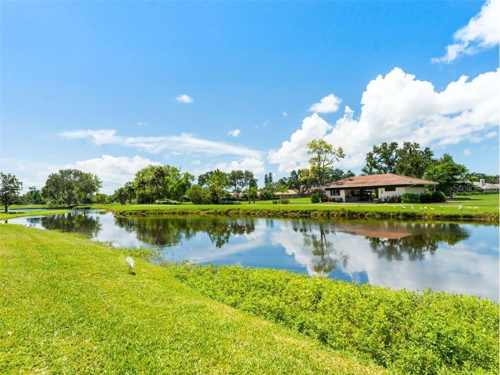 6150 Gulfport Blvd #404 Gulfport FL 33707 TB8414637 image33