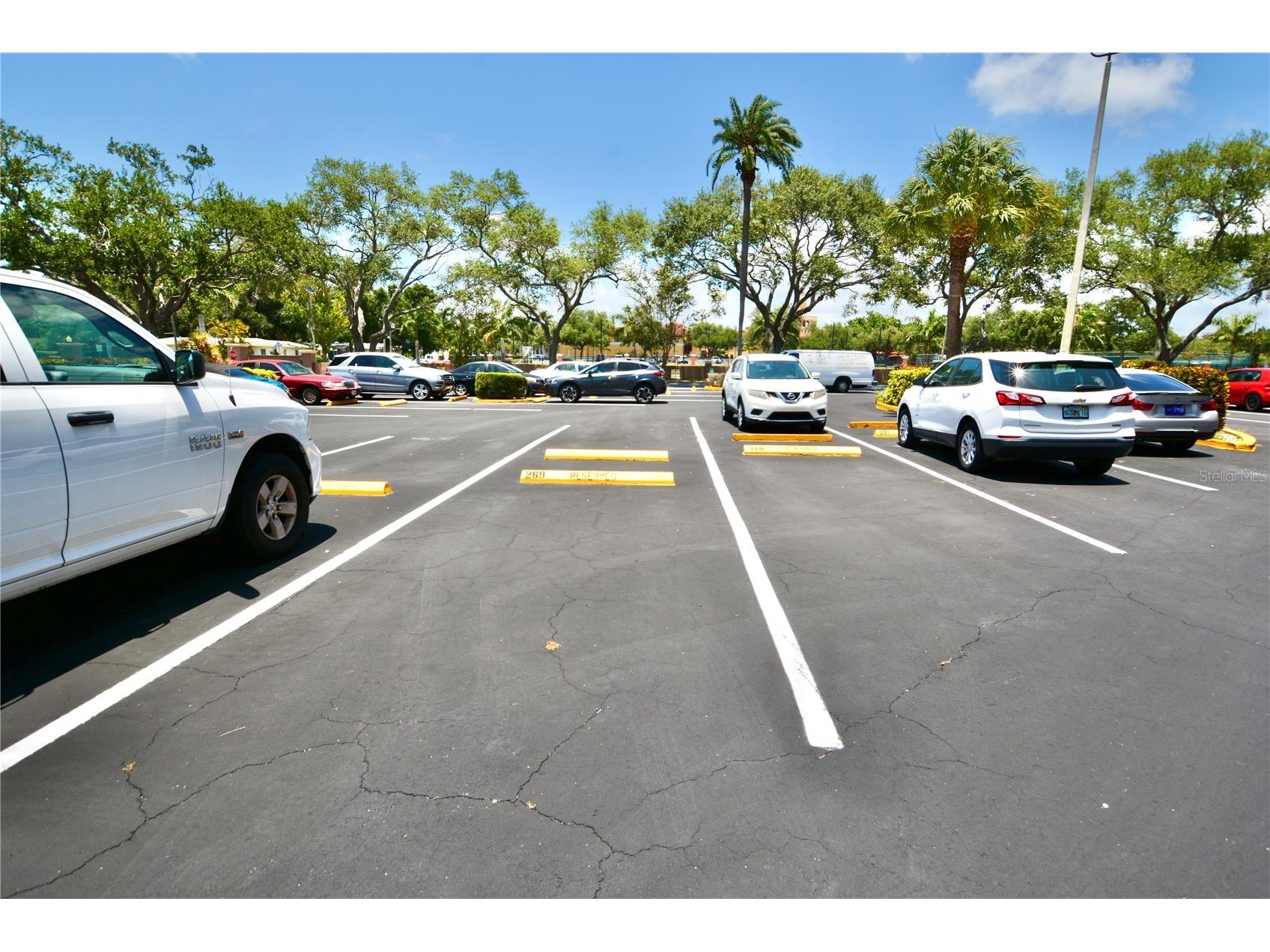 6150 Gulfport Boulevard S #302 Gulfport FL 33707 TB8519638 image7