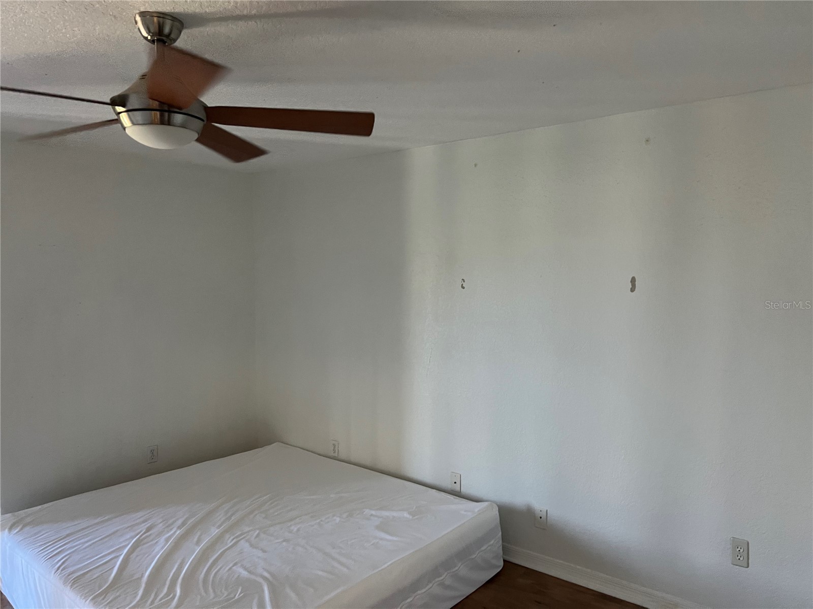 6150 Gulfport Boulevard S #402 Gulfport FL 33707 O6398075 image13