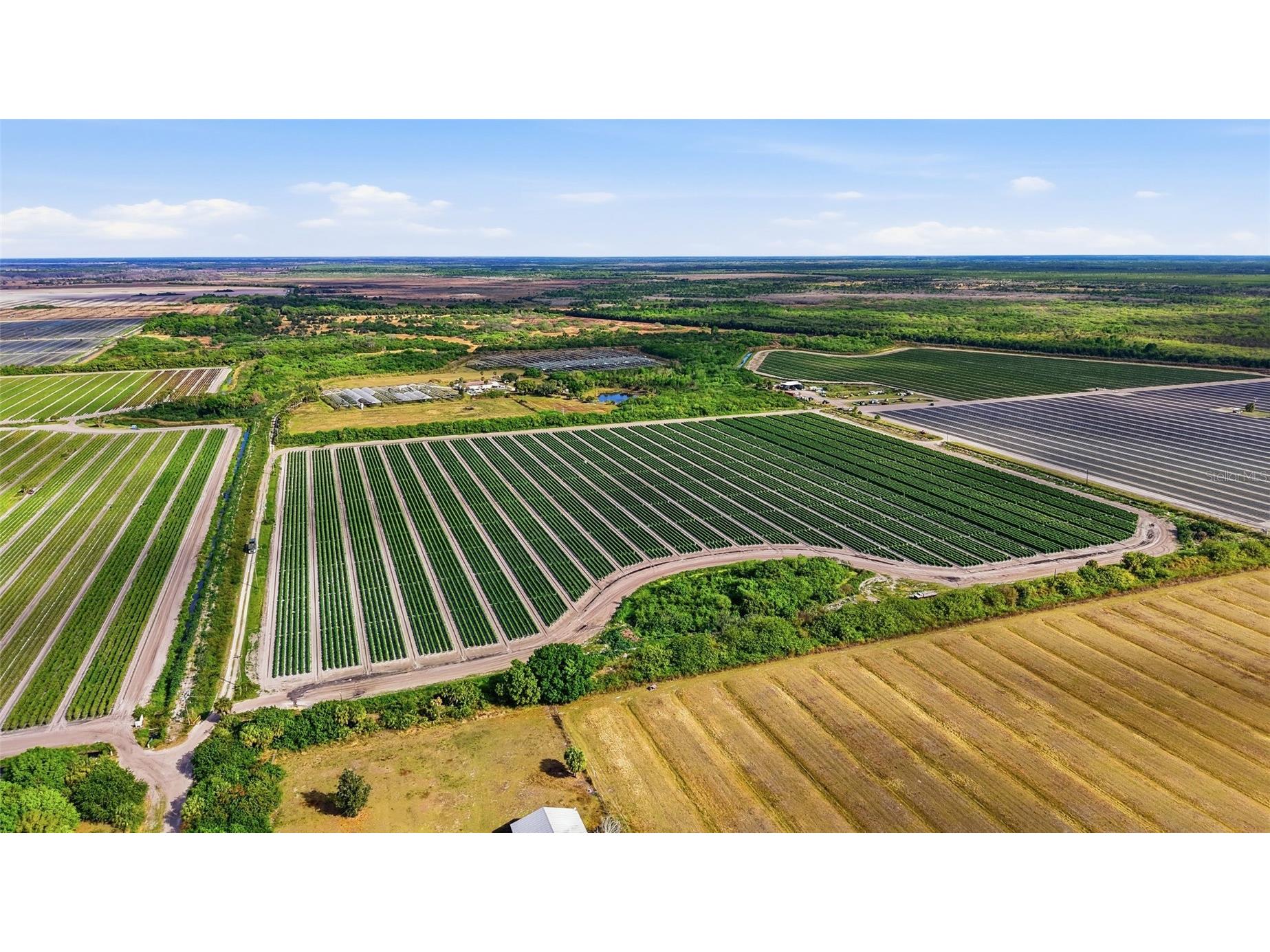 6150 Pringle Lane Immokalee FL 34142 O6359033 image15