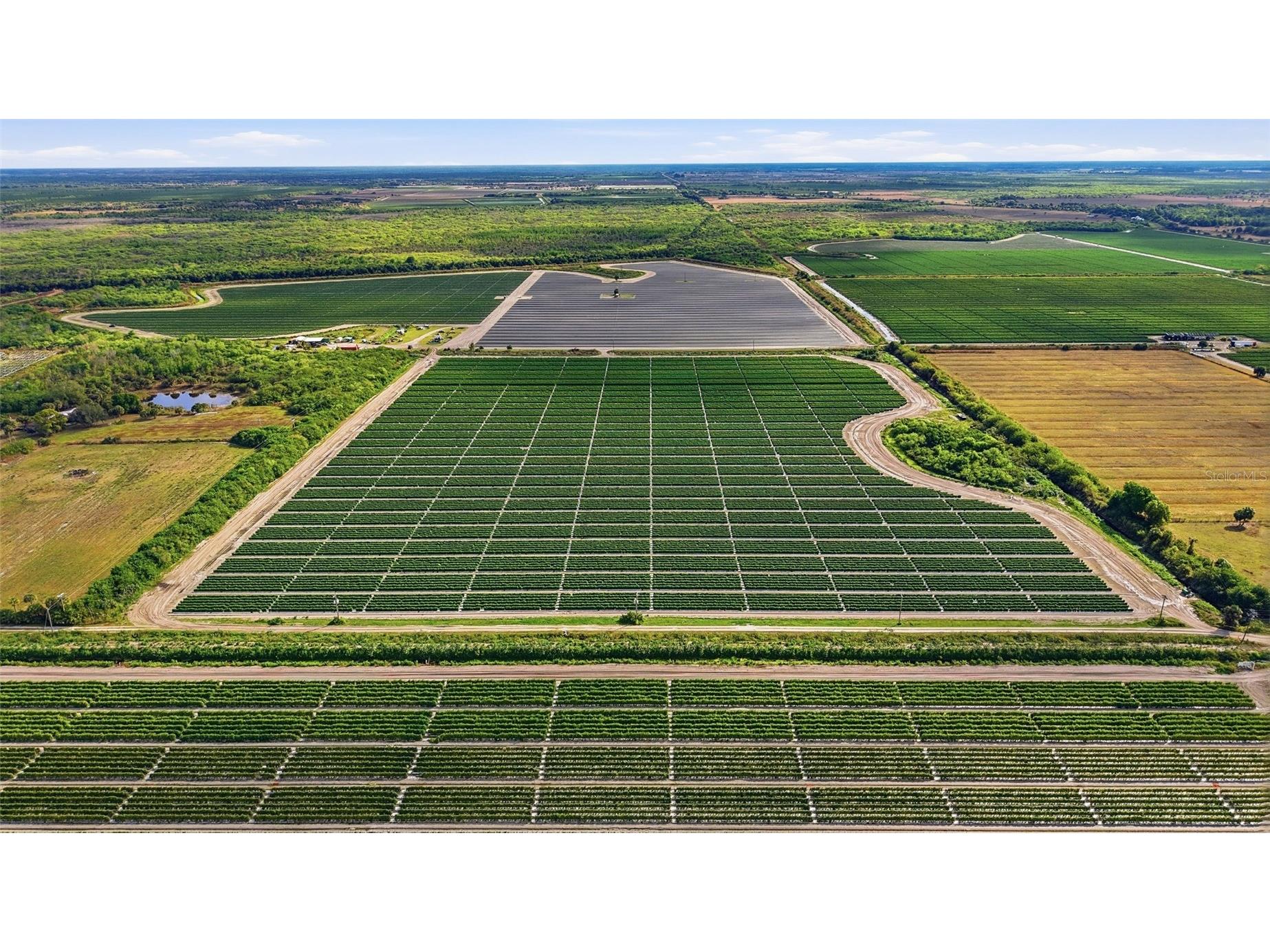 6150 Pringle Lane Immokalee FL 34142 O6359033 image19