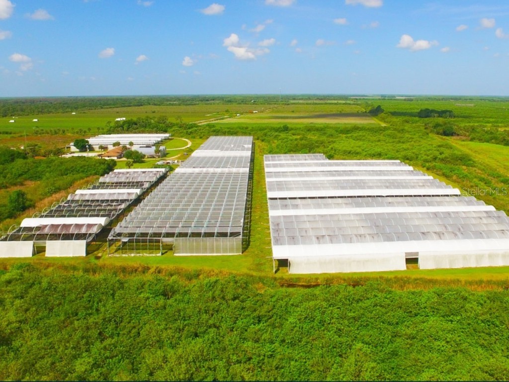 6150 Pringle Lane Immokalee FL 34142 O6359033 image2