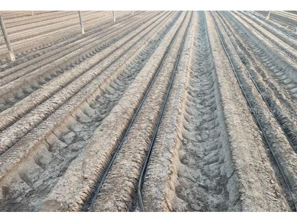 6150 Pringle Lane Immokalee FL 34142 O6359033 image4