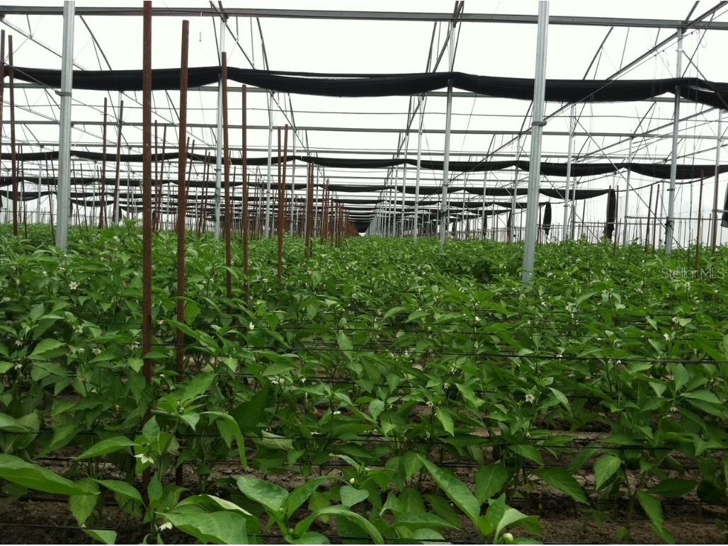 6150 Pringle Lane Immokalee FL 34142 O6359033 image5