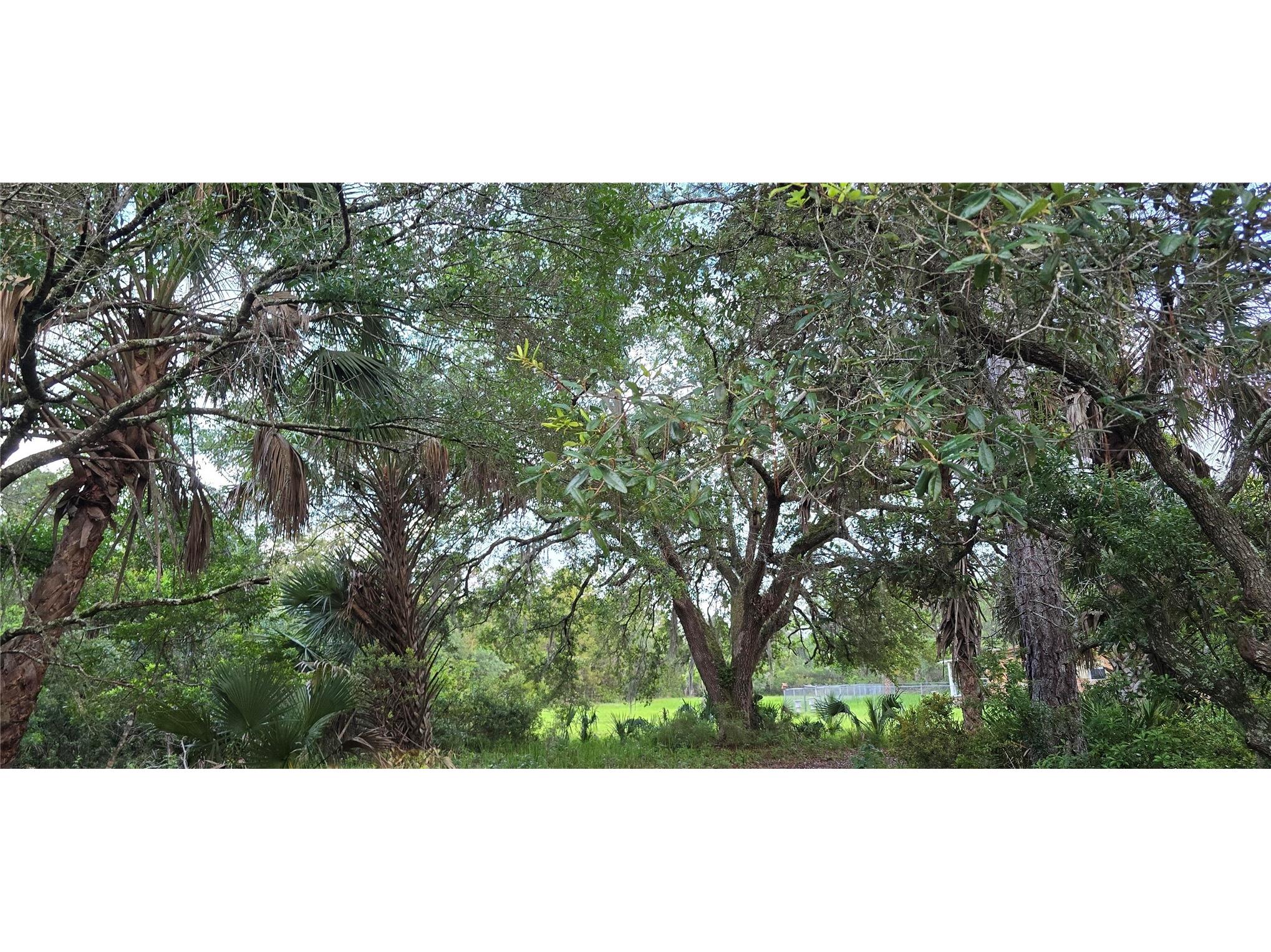 6150 SW 126th Avenue Cedar Key FL 32625 O6422136 image4
