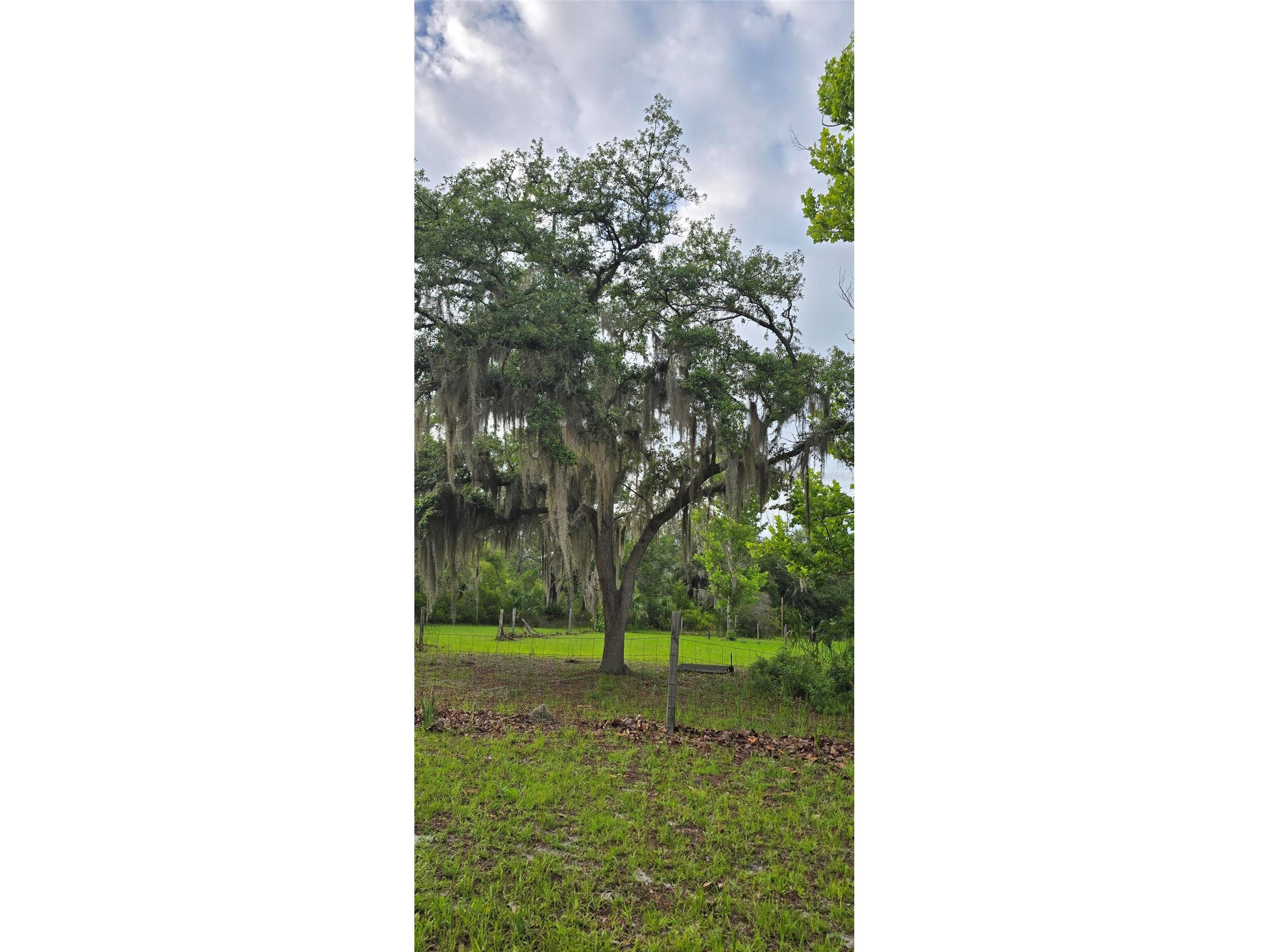 6150 SW 126th Avenue Cedar Key FL 32625 O6422136 image5