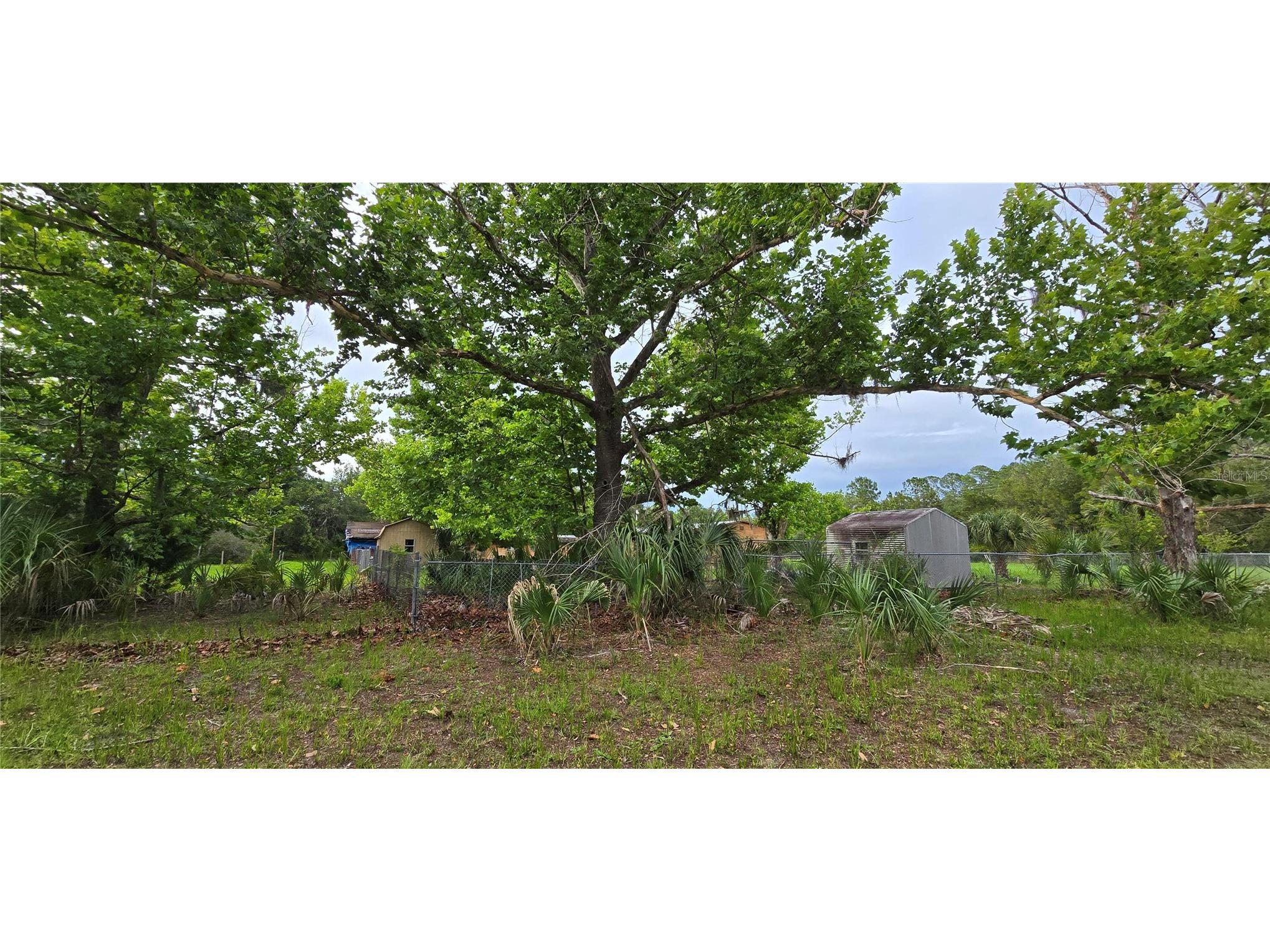 6150 SW 126th Avenue Cedar Key FL 32625 O6422136 image7