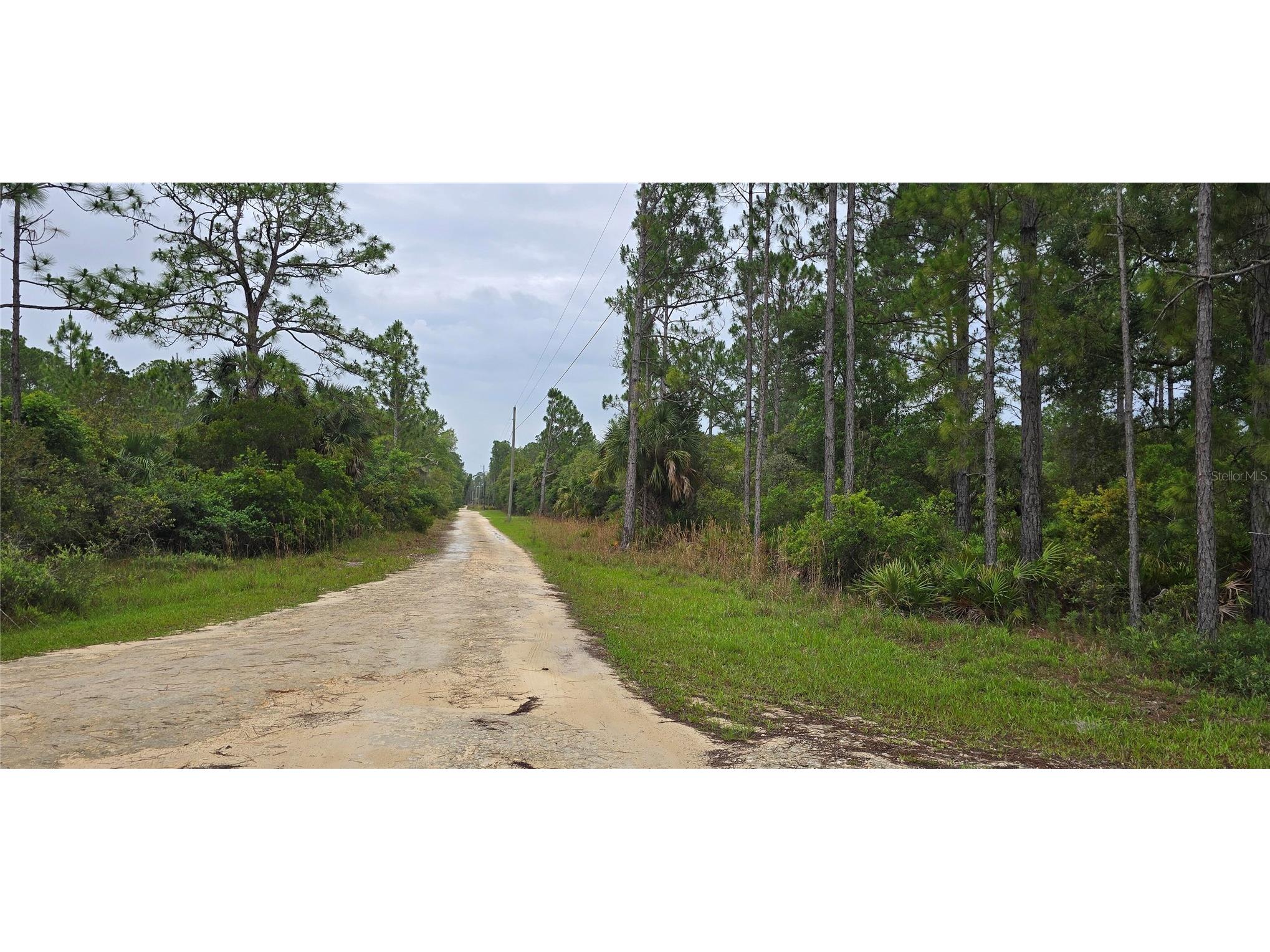 6150 SW 126th Avenue Cedar Key FL 32625 O6422136 image9