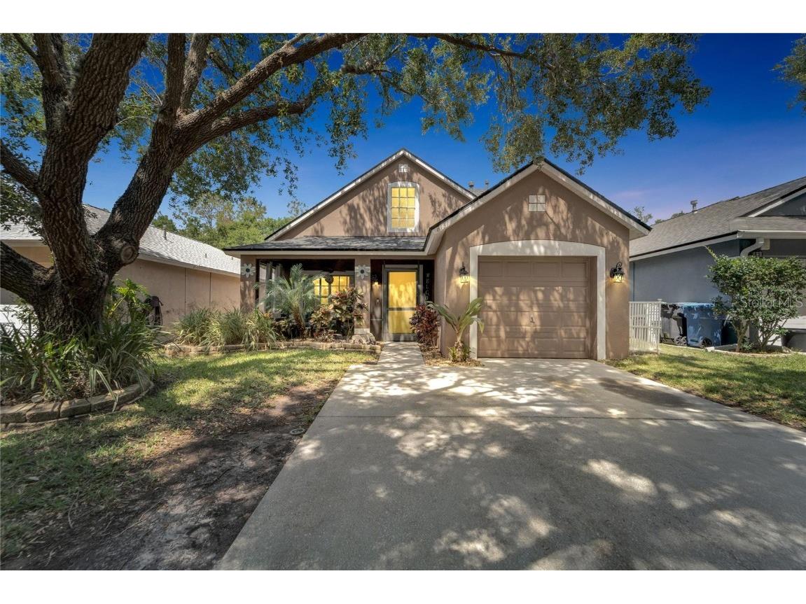 6151 Kiteridge Drive Lithia FL 33547 T3520850 image1