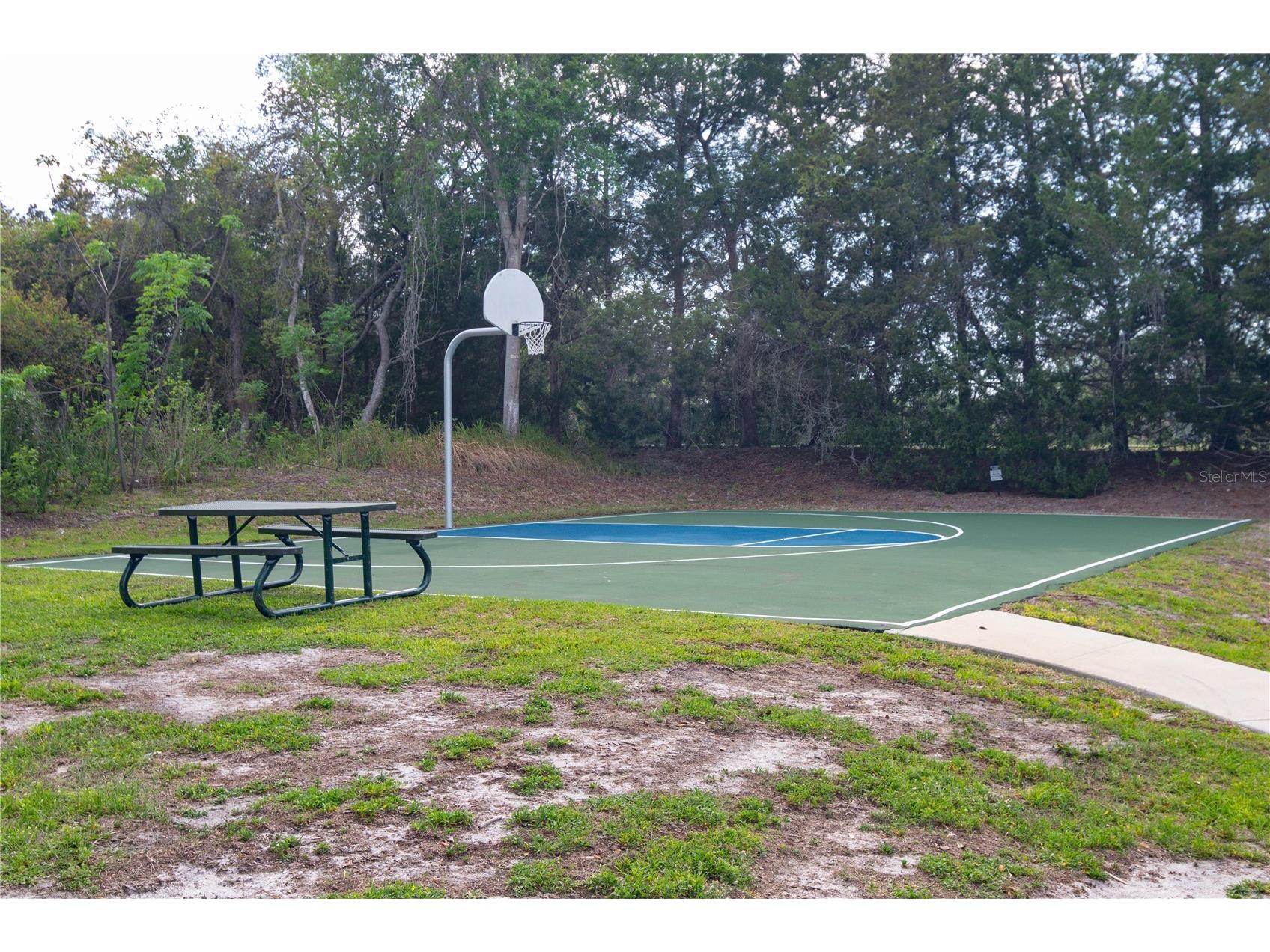 6151 New Osprey Point Weeki Wachee FL 34607 W7884366 image59
