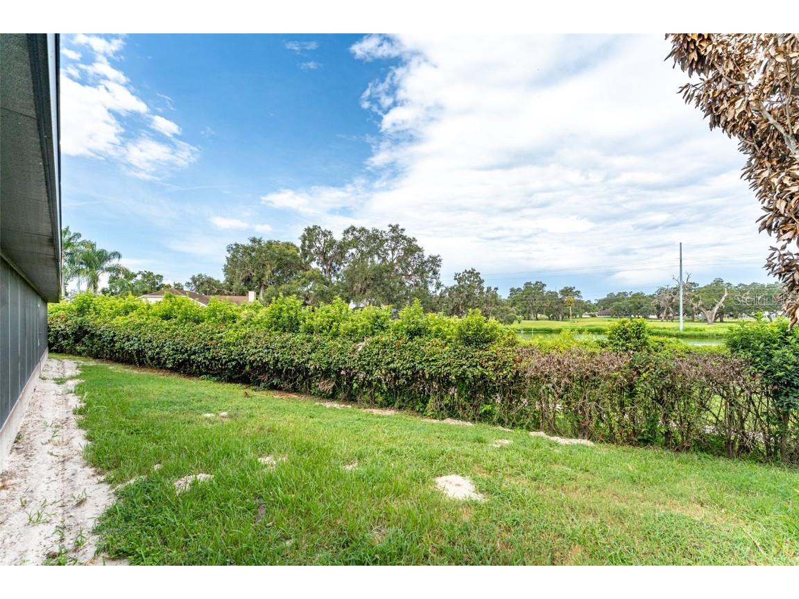 6151 Silver Oaks Drive Zephyrhills FL 33542 TB8408916 image50