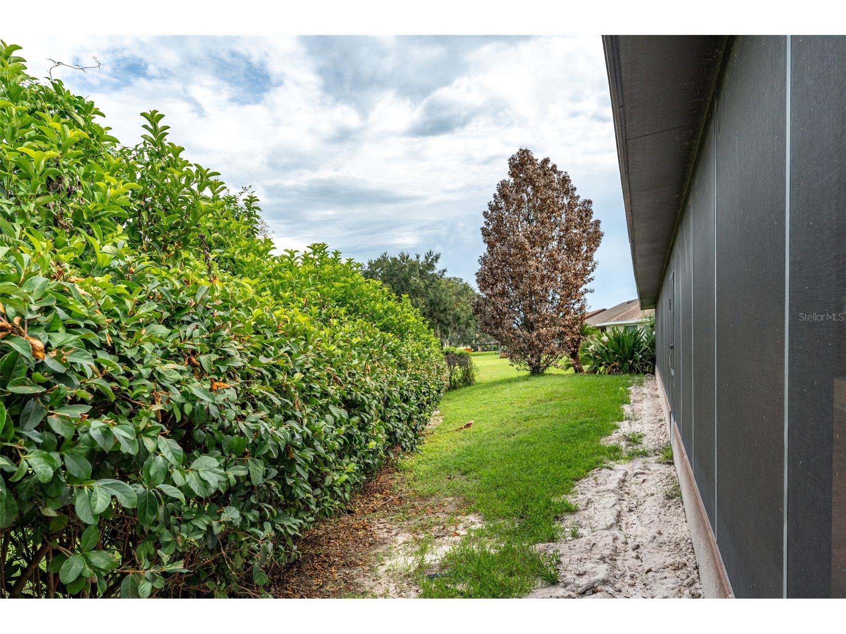 6151 Silver Oaks Drive Zephyrhills FL 33542 TB8498255 image18