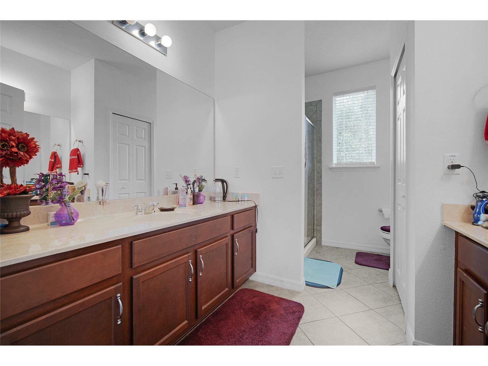 6152 Golden Dewdrop Trail Windermere FL 34786 O6396835 image65