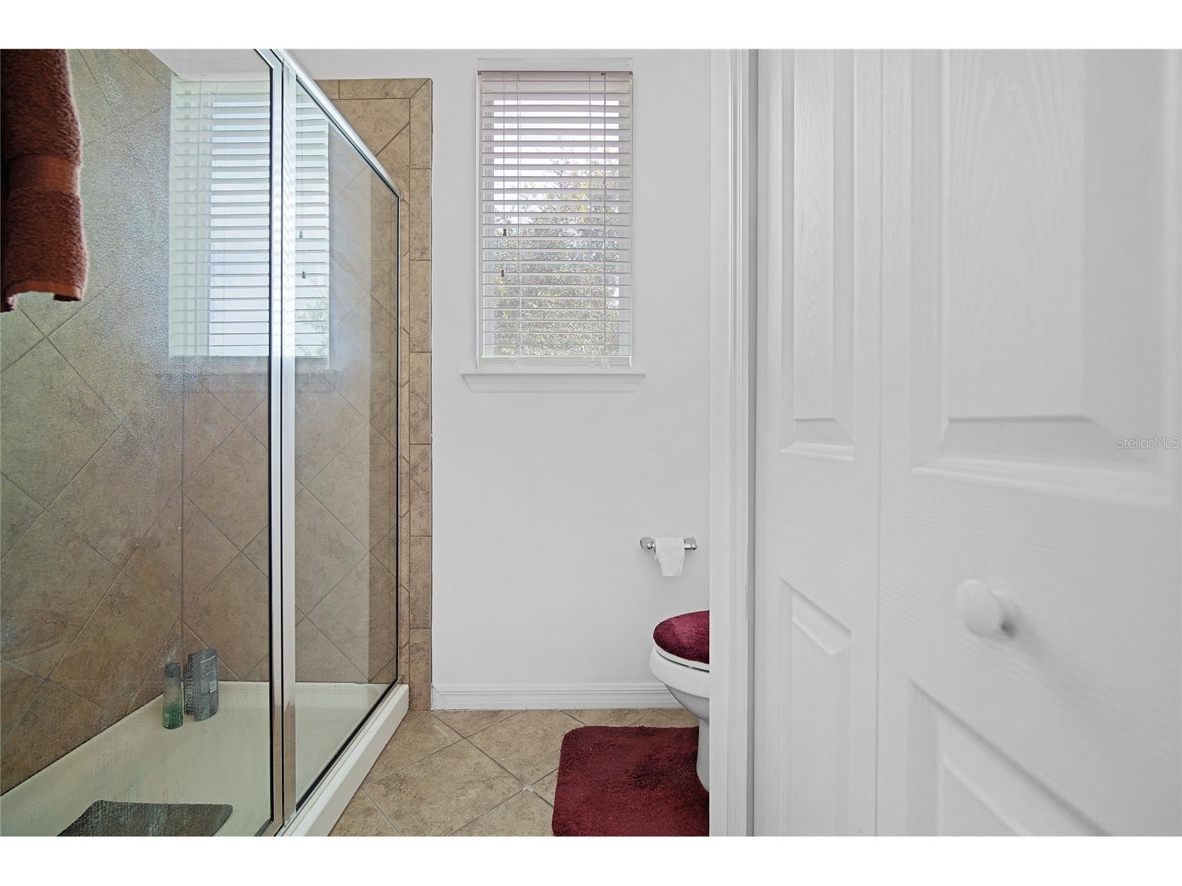6152 Golden Dewdrop Trail Windermere FL 34786 O6396835 image67