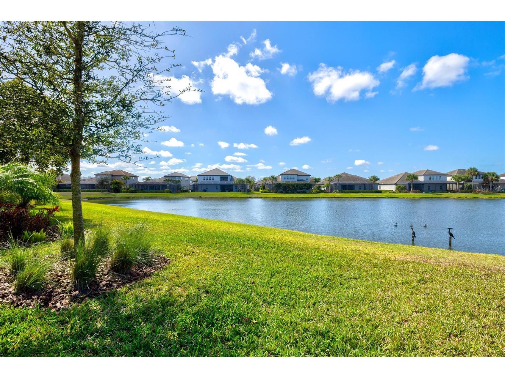 6152 Lungo Lago Drive Sarasota FL 34241 A4684598 image64