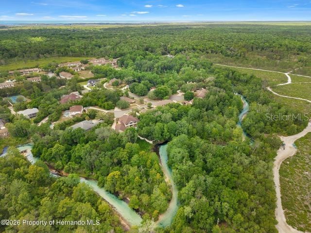6153 New Osprey Point Weeki Wachee FL 34607 W7884956 image60
