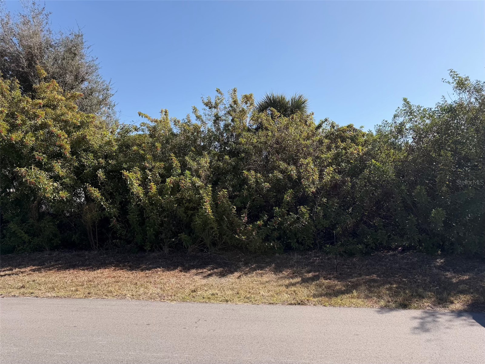 6154 Shasta Street Englewood FL 34224 A4683035 image5