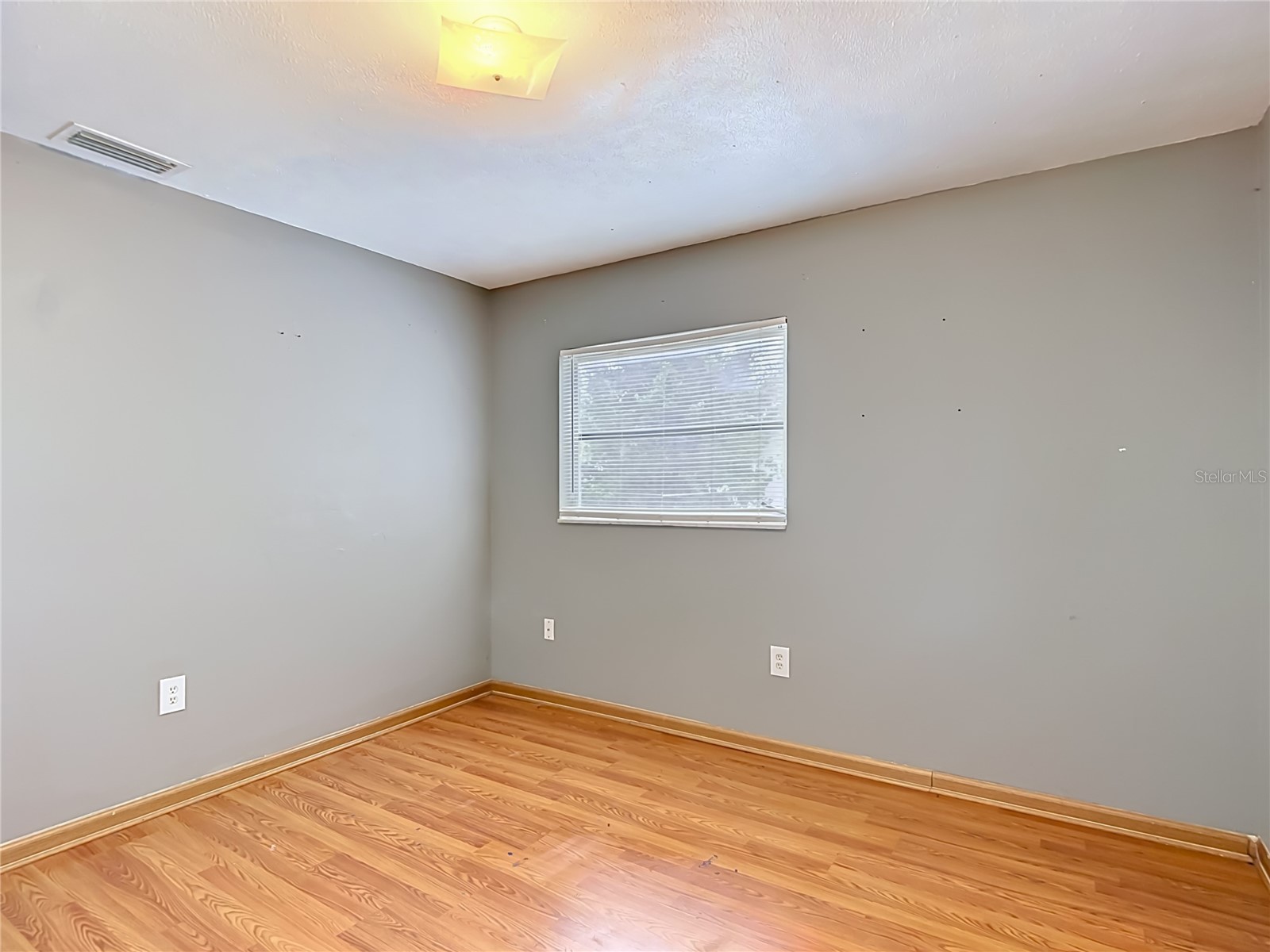 6155 9th Street Zephyrhills FL 33542 TB8502354 image22