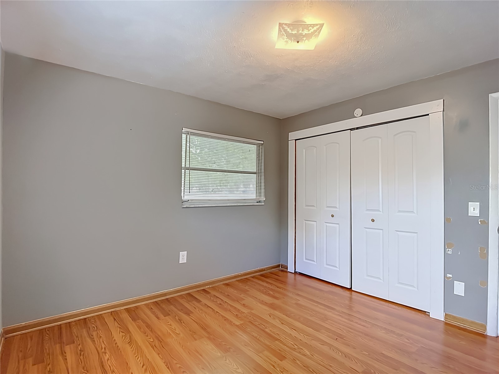 6155 9th Street Zephyrhills FL 33542 TB8502354 image24