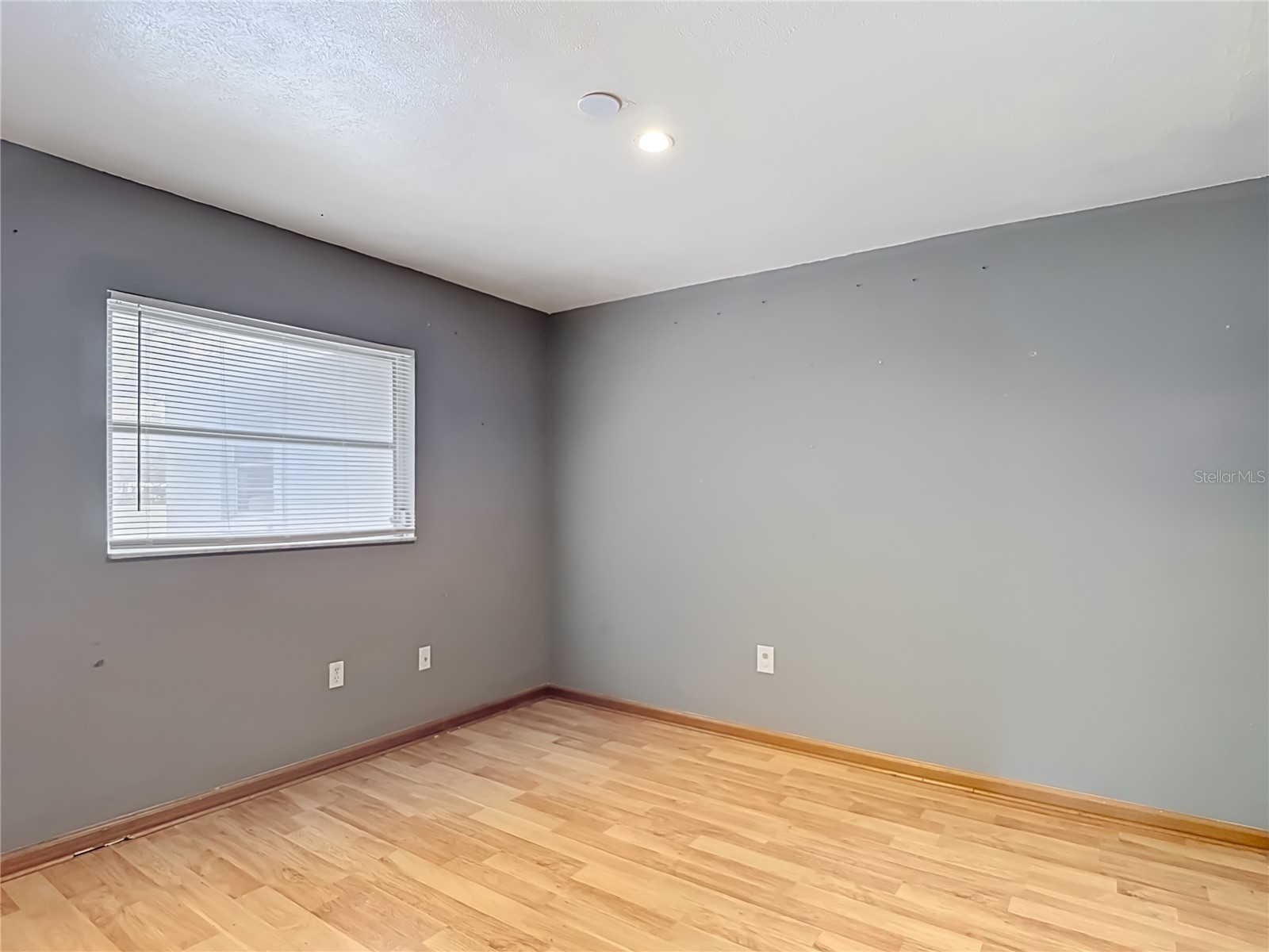 6155 9th Street Zephyrhills FL 33542 TB8502354 image26