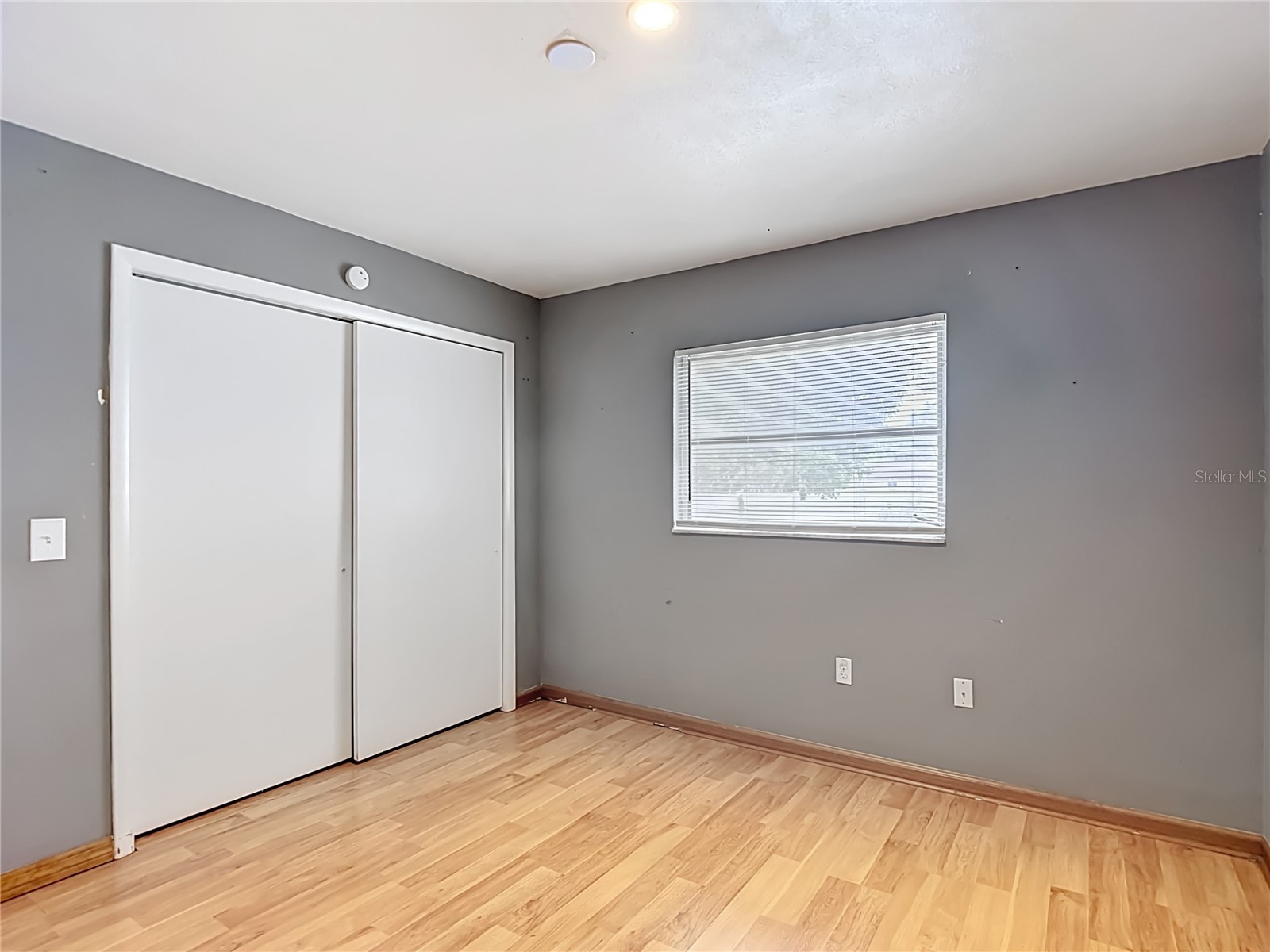 6155 9th Street Zephyrhills FL 33542 TB8502354 image27