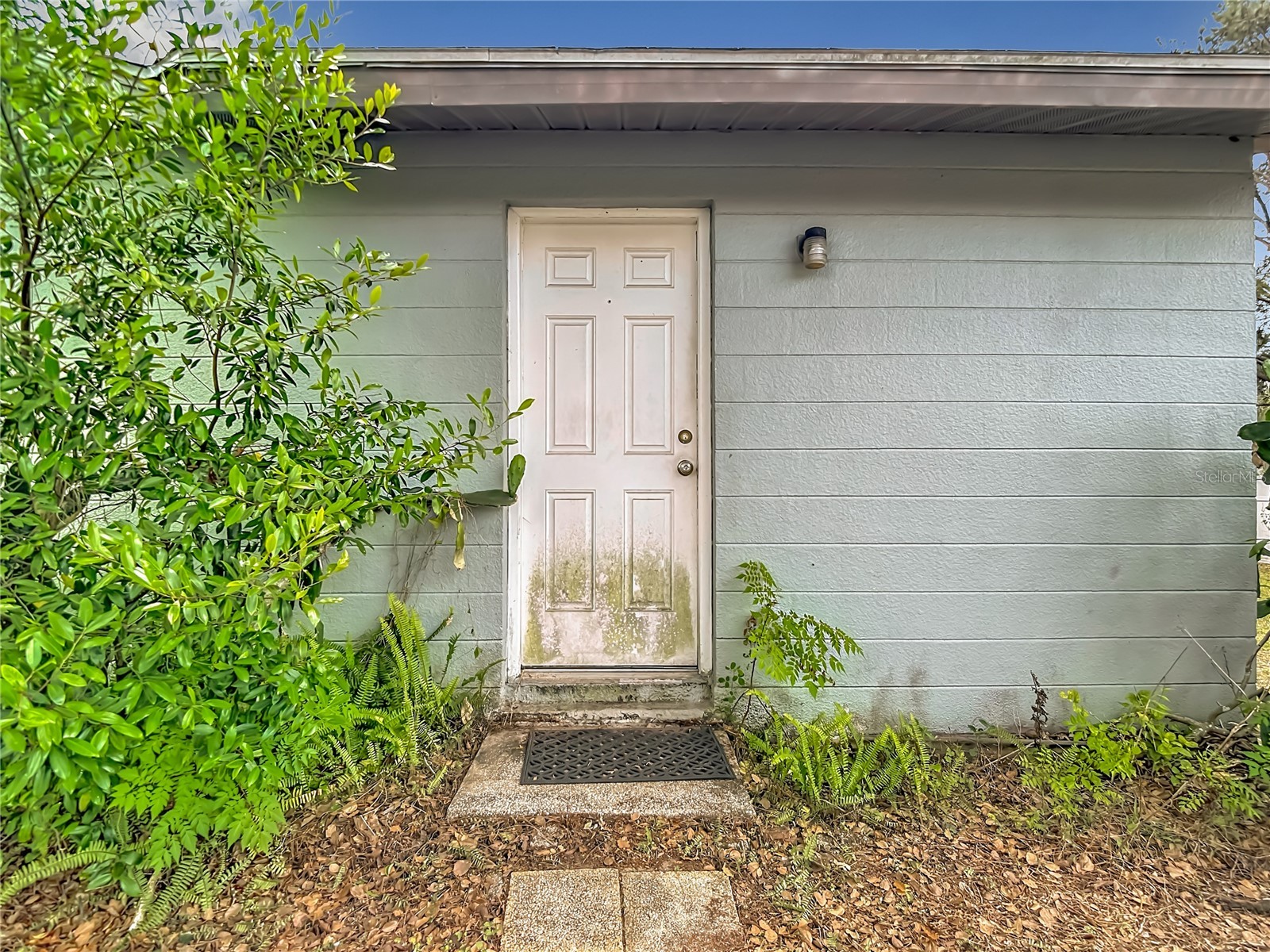 6155 9th Street Zephyrhills FL 33542 TB8502354 image40