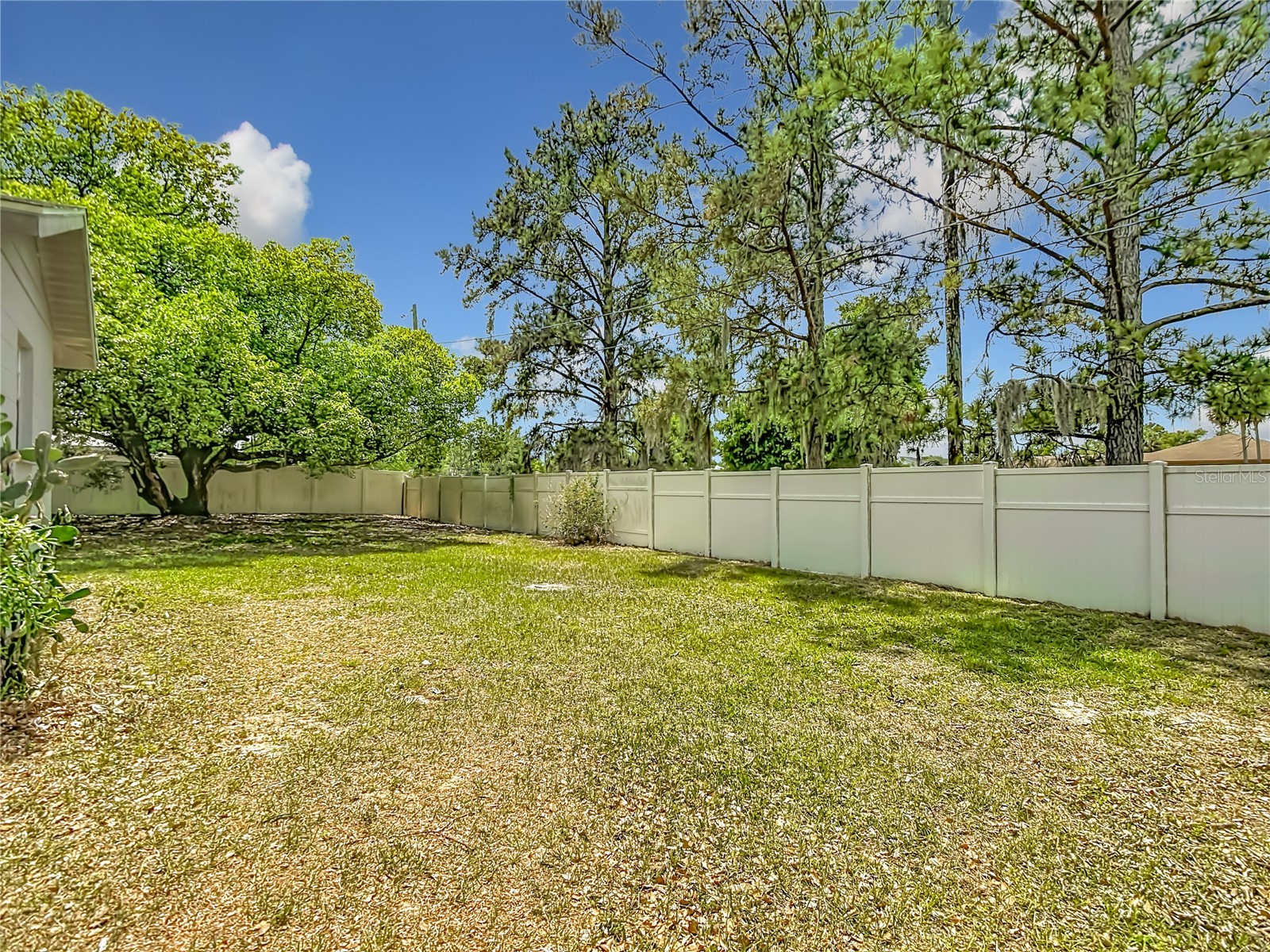 6155 9th Street Zephyrhills FL 33542 TB8502354 image42