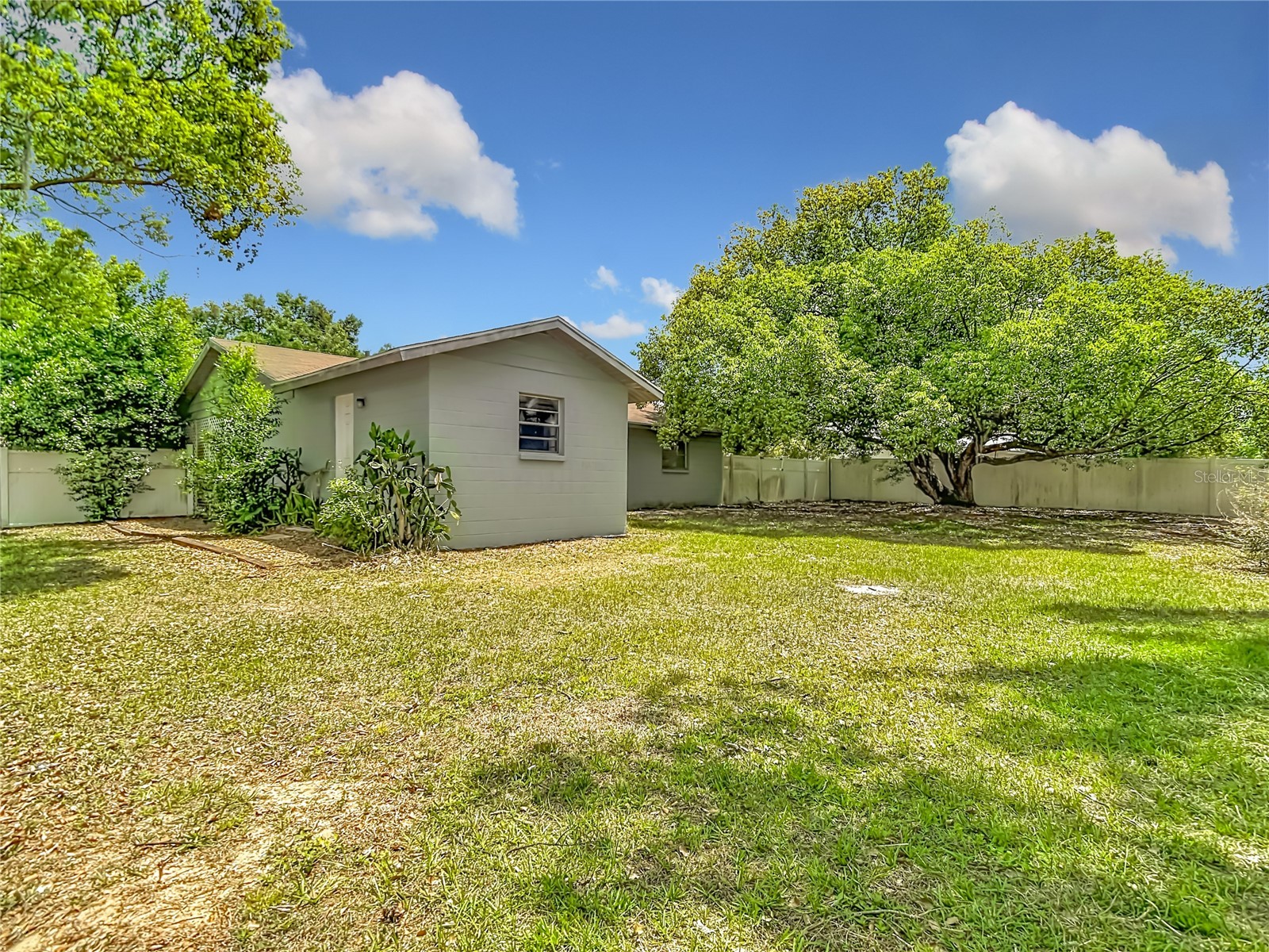 6155 9th Street Zephyrhills FL 33542 TB8502354 image43