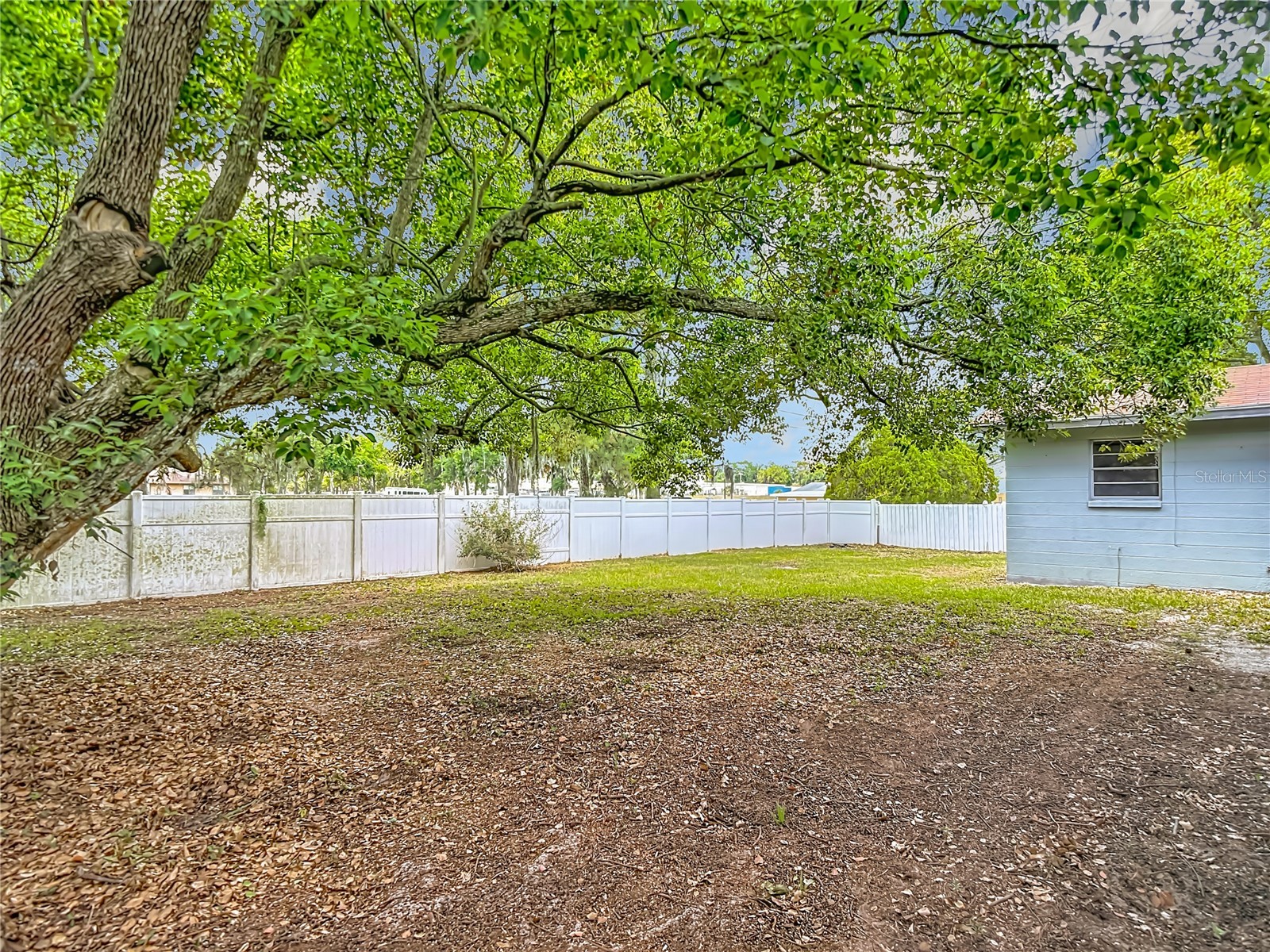 6155 9th Street Zephyrhills FL 33542 TB8502354 image45