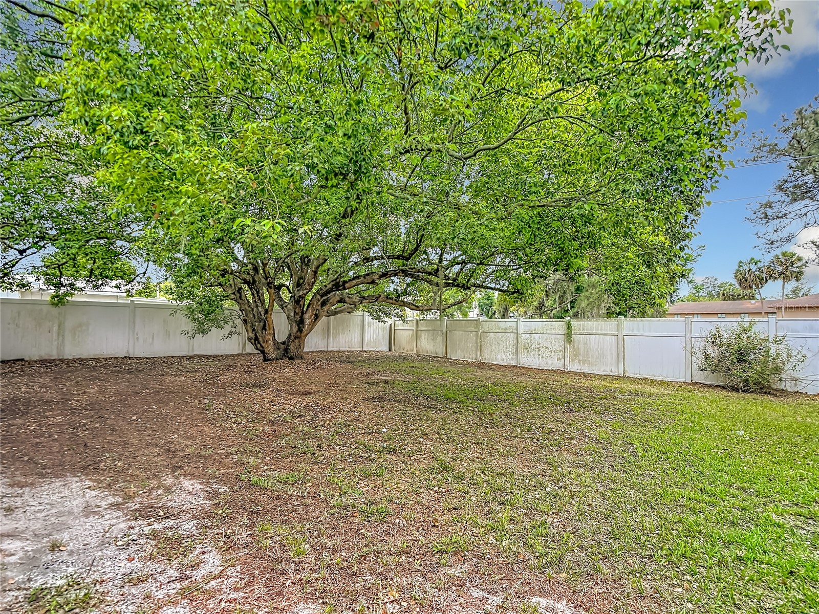 6155 9th Street Zephyrhills FL 33542 TB8502354 image46