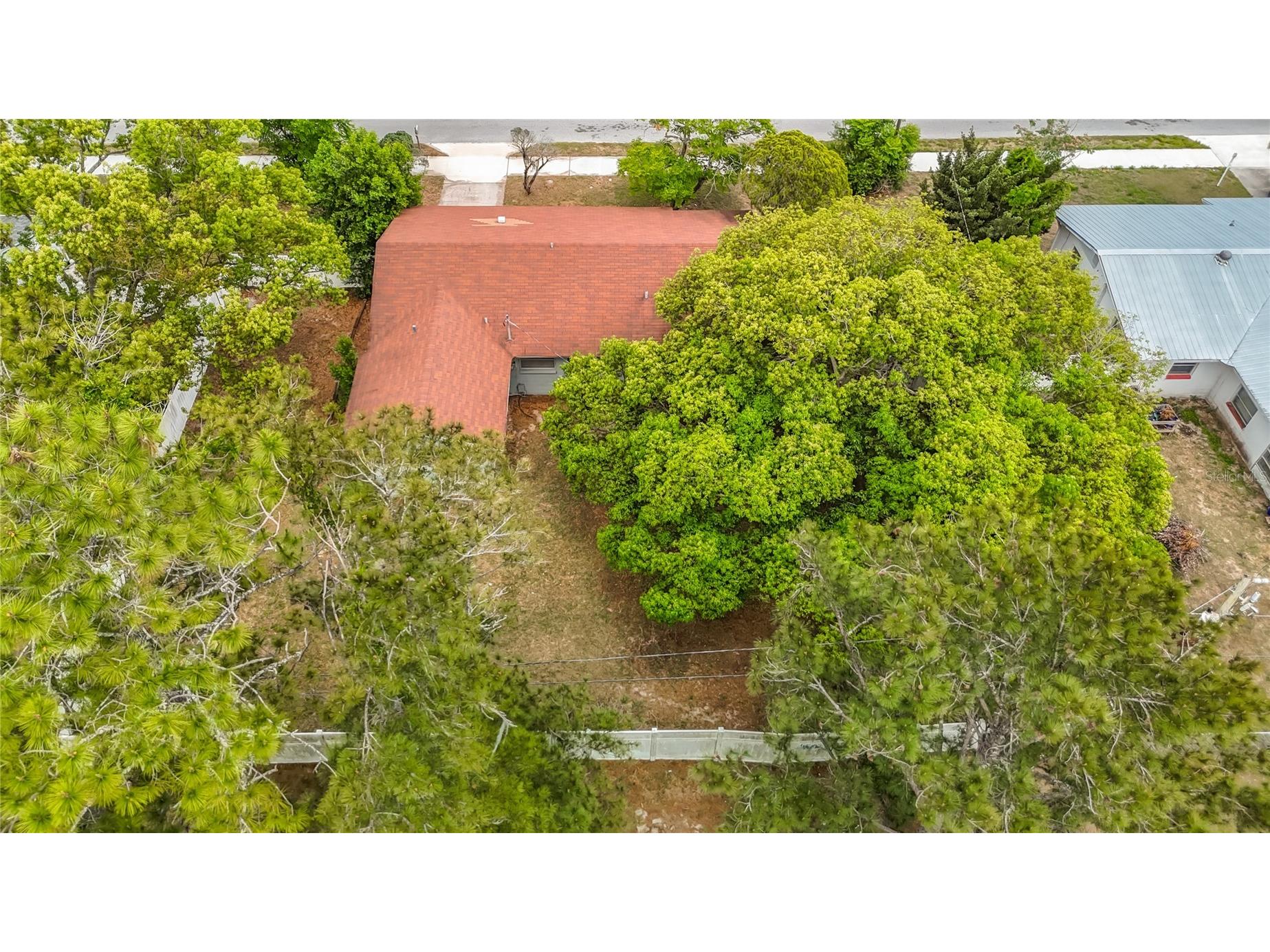 6155 9th Street Zephyrhills FL 33542 TB8502354 image48