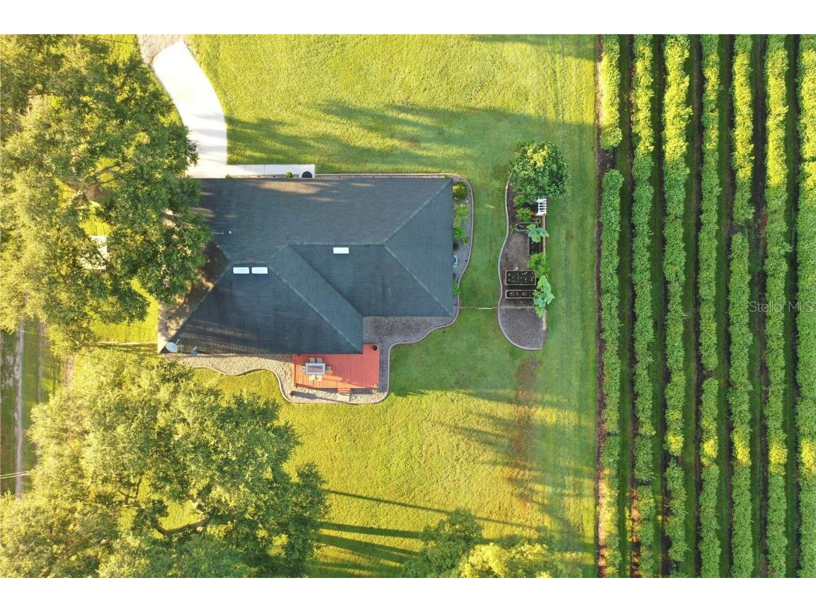 6155 Bethlehem Road Mulberry FL 33860 L4948943 image6