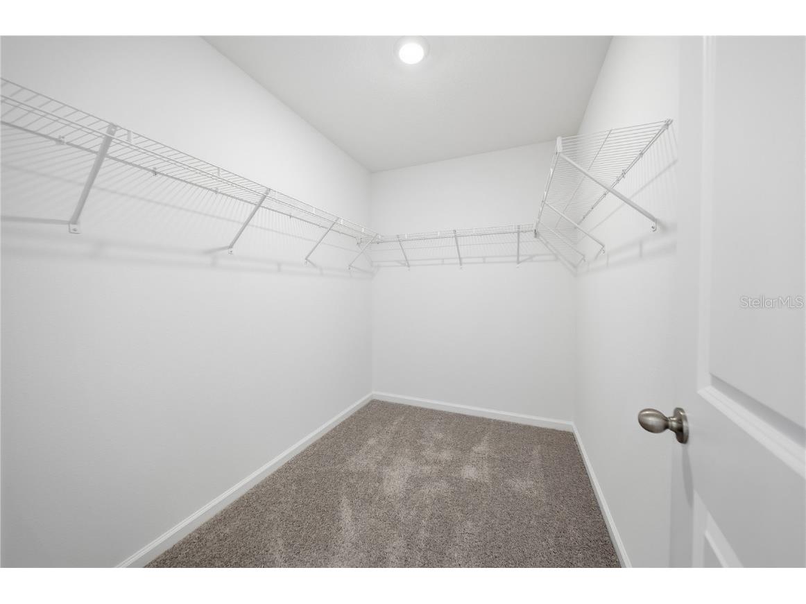 6155 Daerr Ridge Street Zephyrhills FL 33542 TB8453835 image13