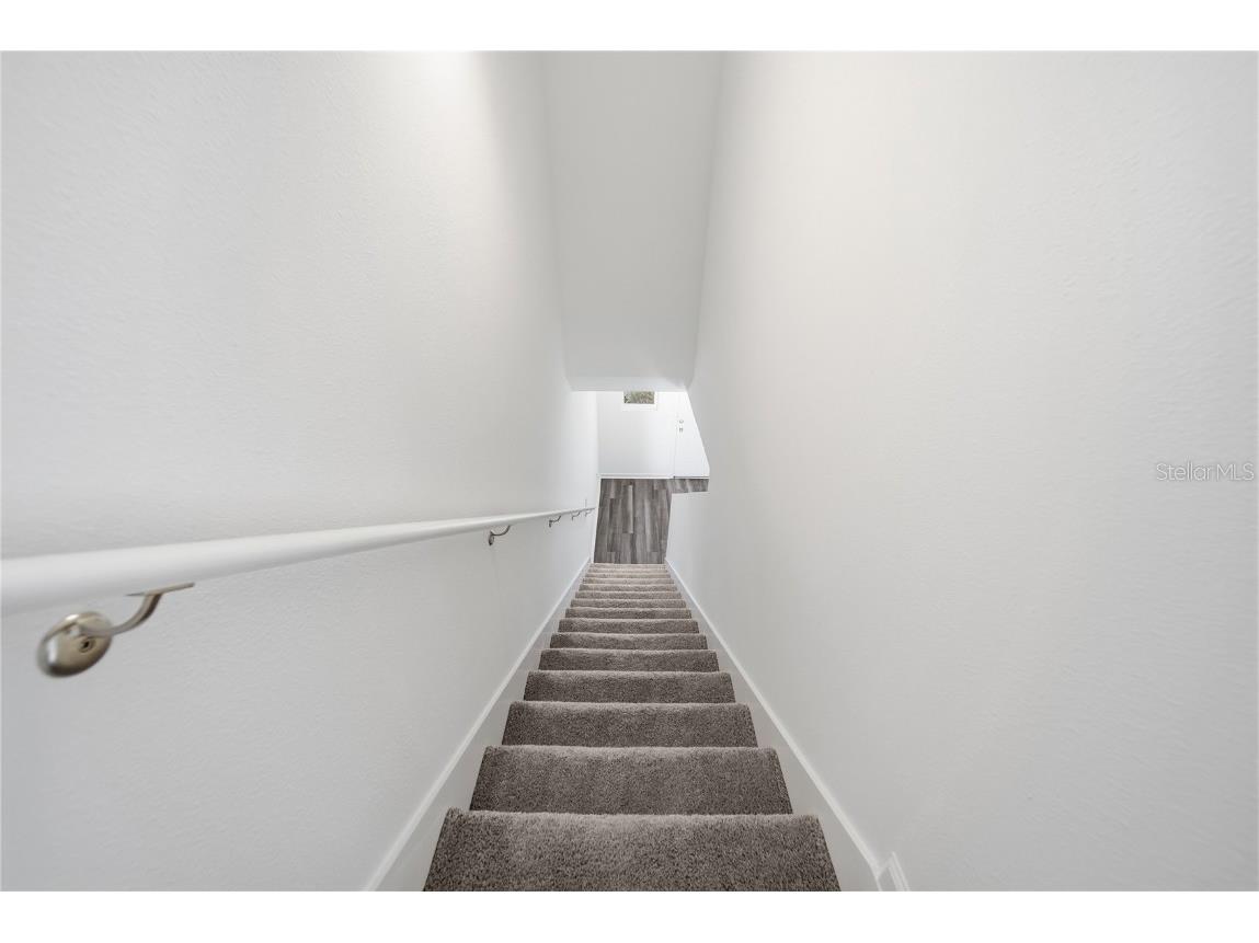 6155 Daerr Ridge Street Zephyrhills FL 33542 TB8453835 image9