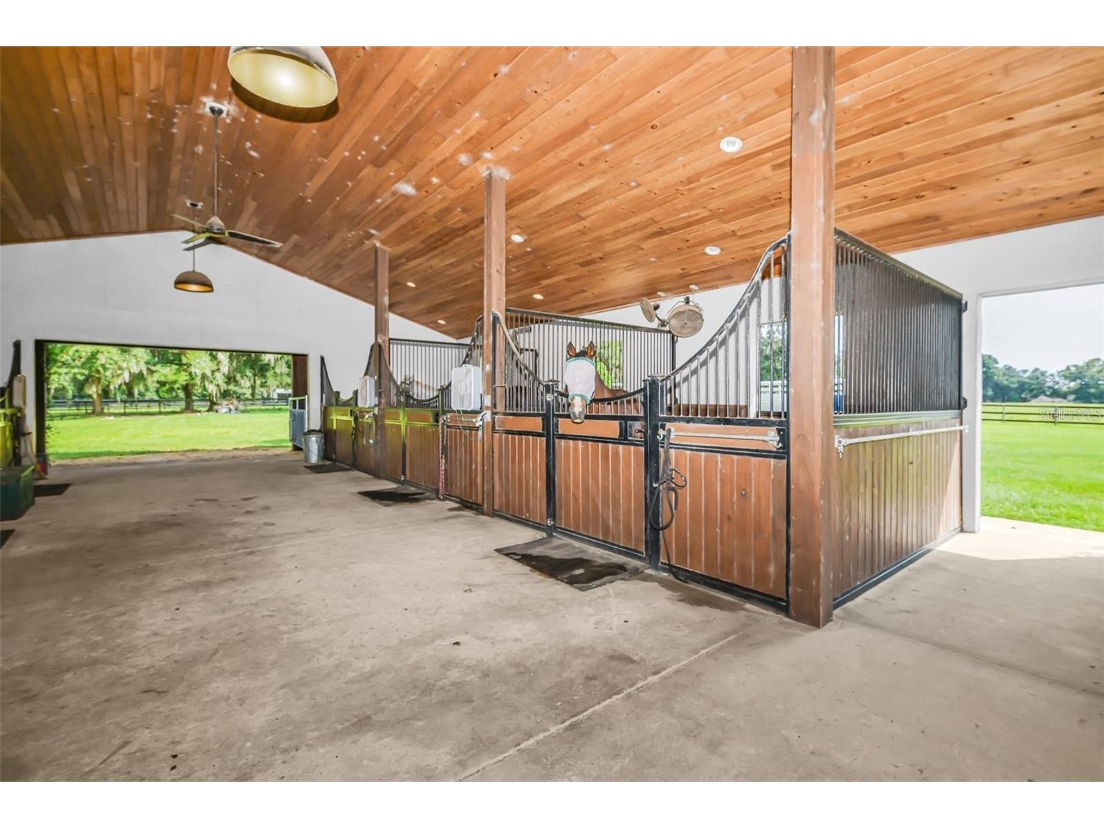 6155 NW 145th Ave Road Morriston FL 32668 OM724143 image10