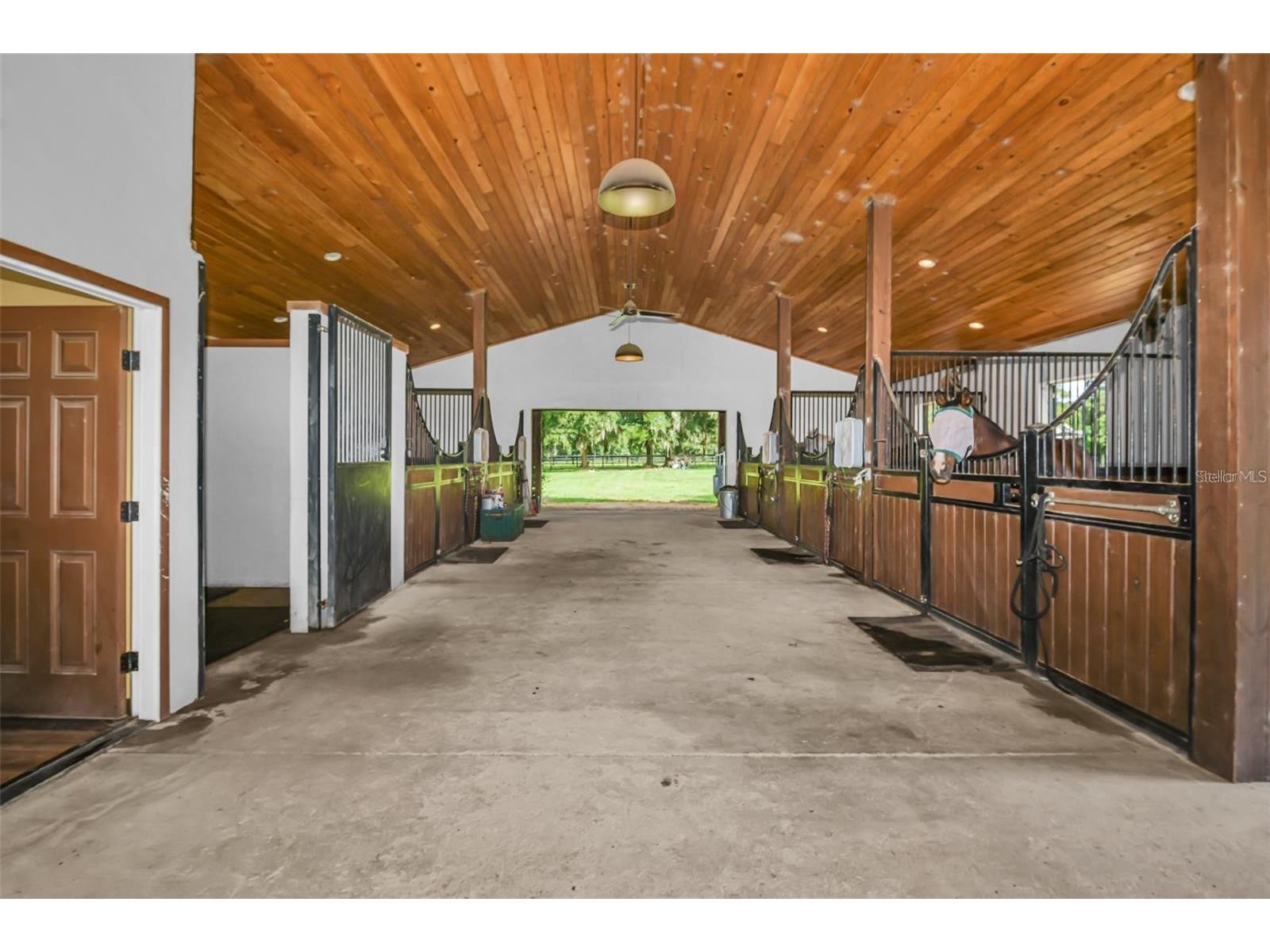 6155 NW 145th Ave Road Morriston FL 32668 OM724143 image11