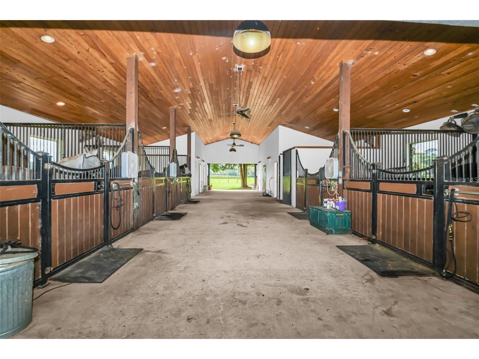 6155 NW 145th Ave Road Morriston FL 32668 OM724143 image12