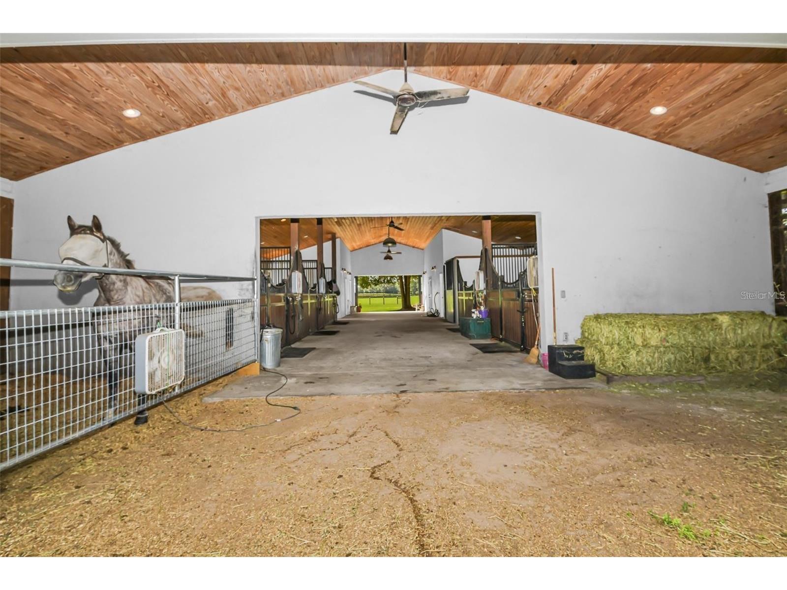 6155 NW 145th Ave Road Morriston FL 32668 OM724143 image14