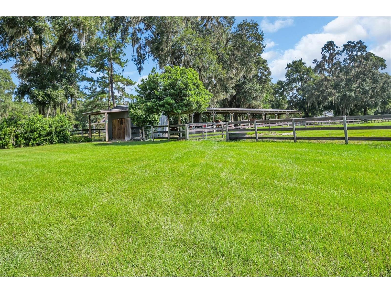 6155 NW 145th Ave Road Morriston FL 32668 OM724143 image16