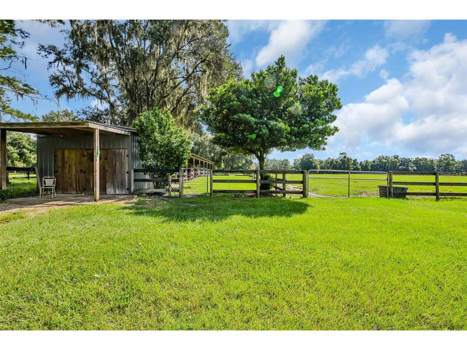 6155 NW 145th Ave Road Morriston FL 32668 OM724143 image17