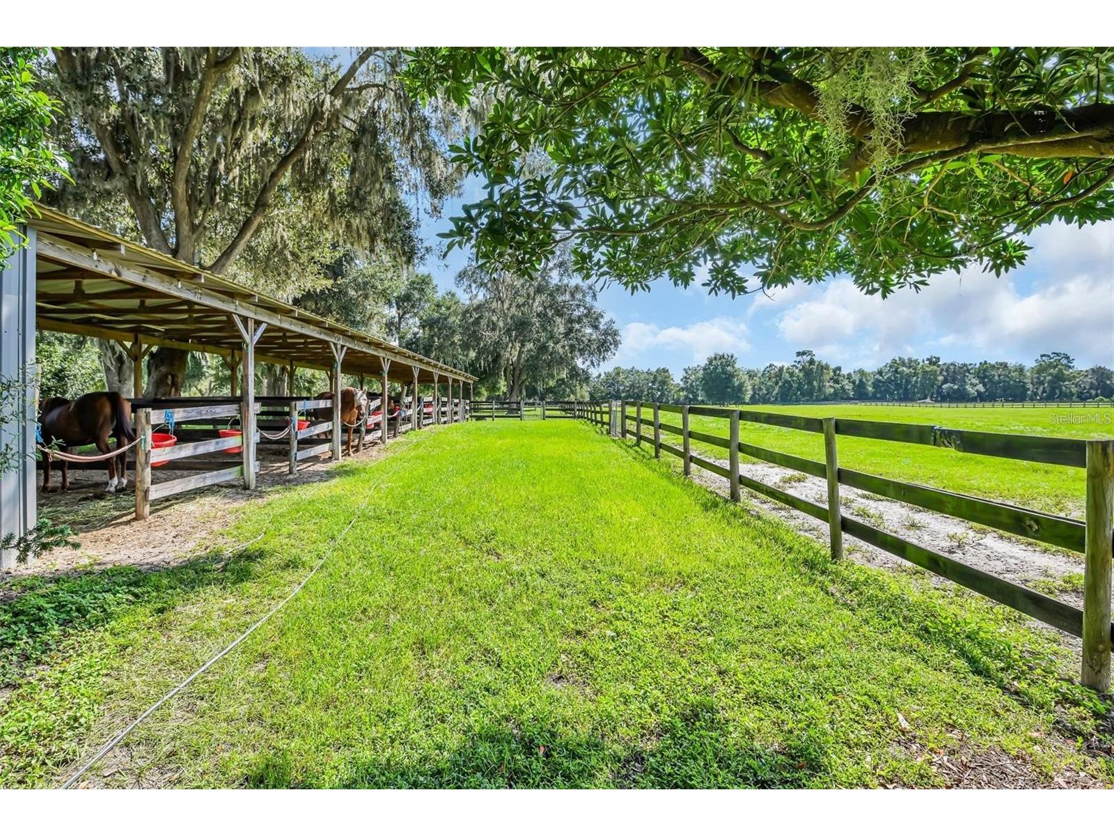 6155 NW 145th Ave Road Morriston FL 32668 OM724143 image18